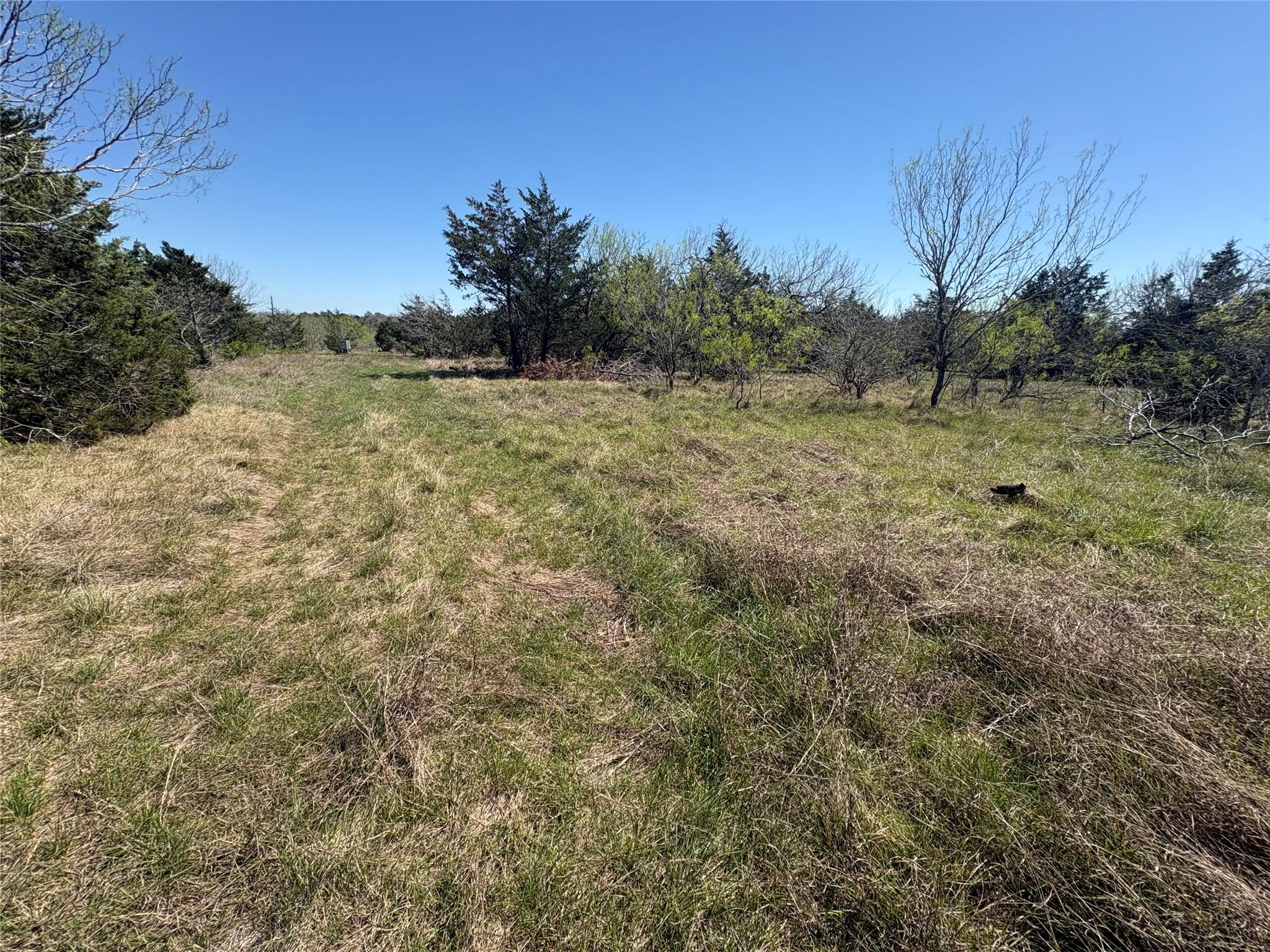 Tbd Patterson Rd Property Photo 11