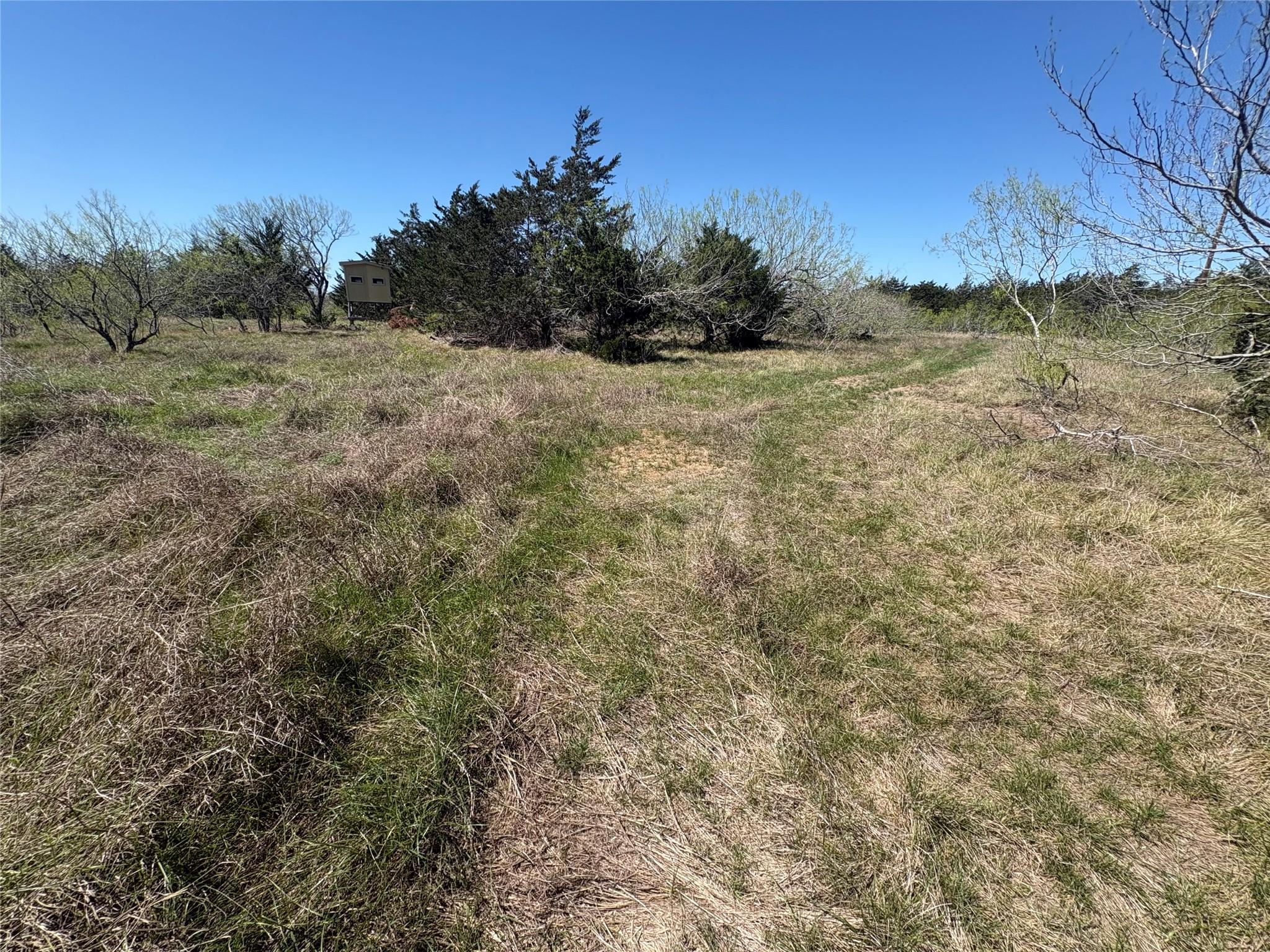Tbd Patterson Rd Property Photo 12