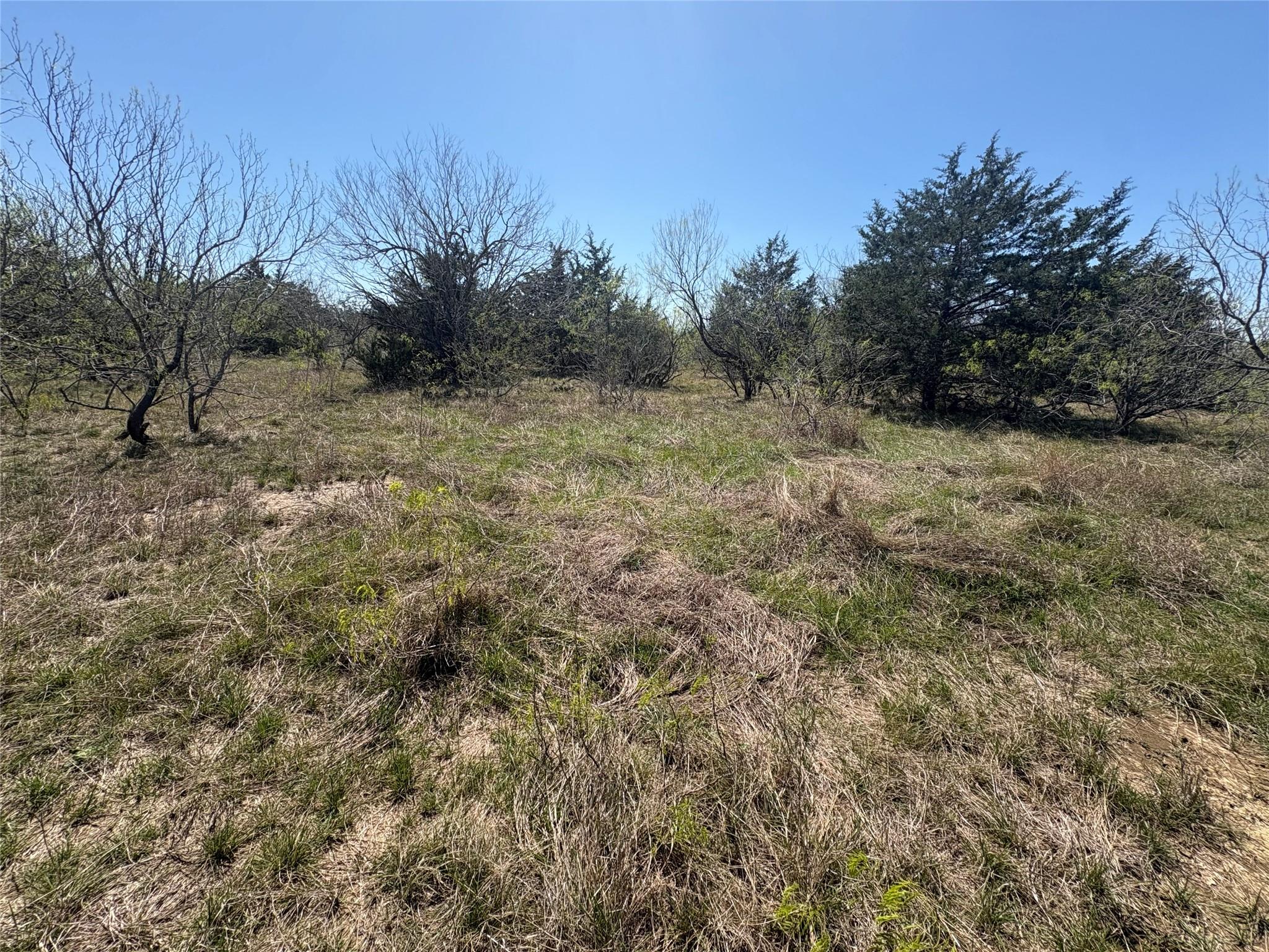 Tbd Patterson Rd Property Photo 13