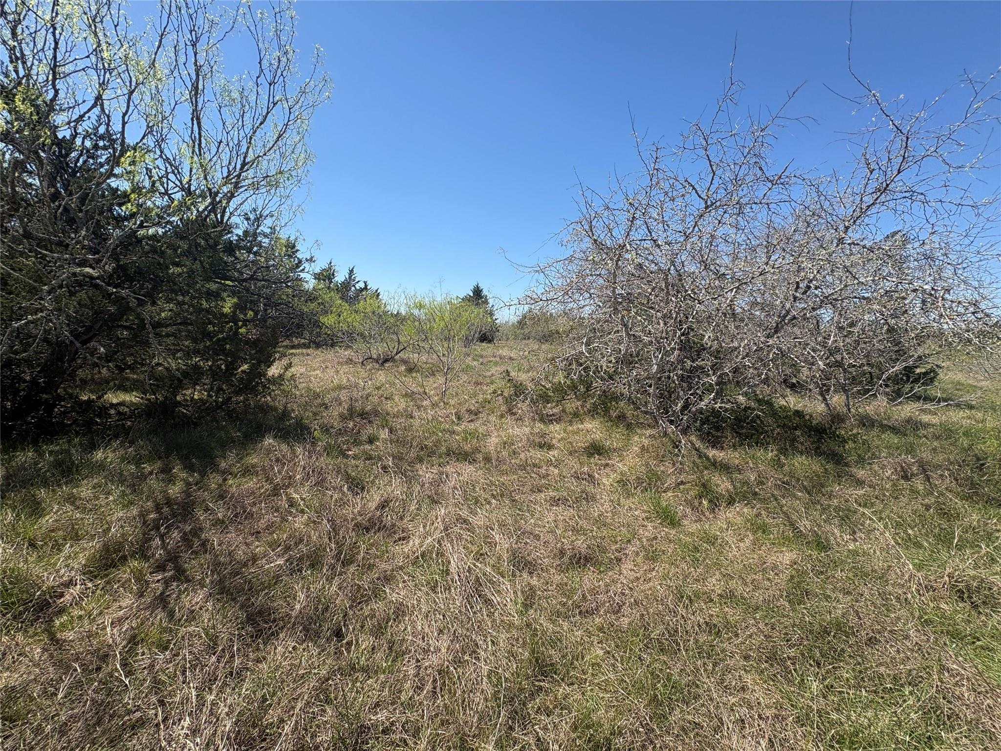 Tbd Patterson Rd Property Photo 14