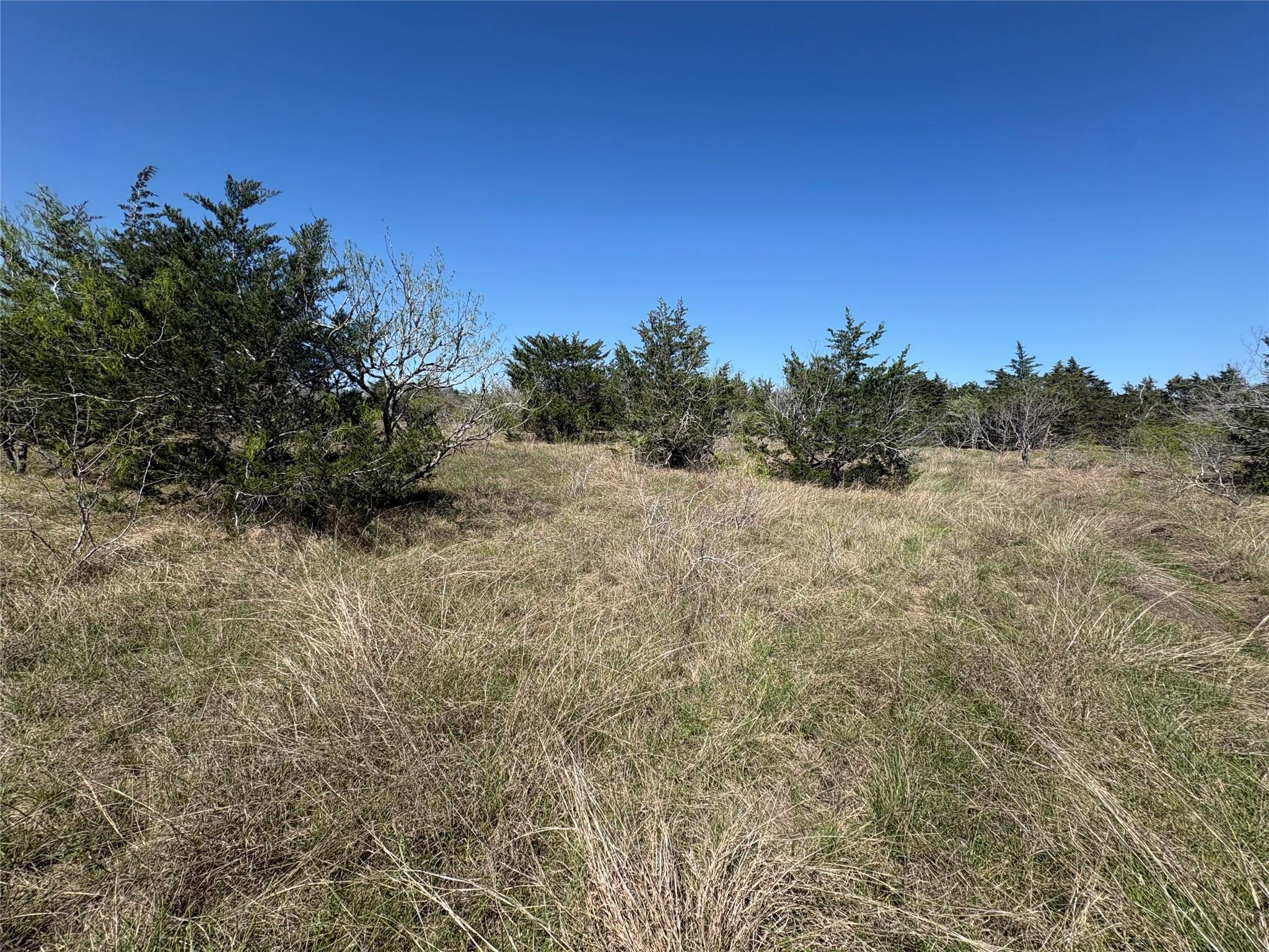 Tbd Patterson Rd Property Photo 16