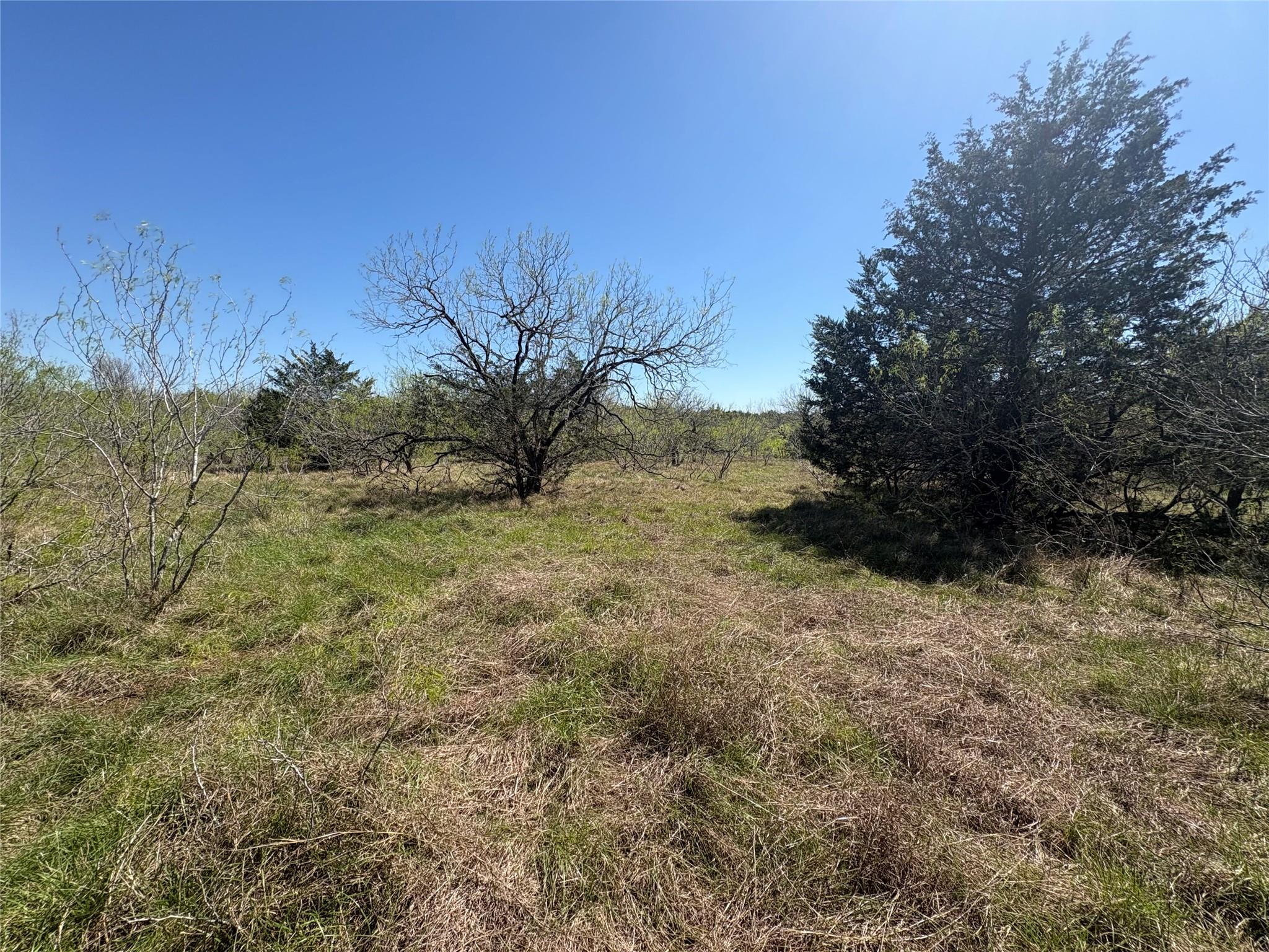 Tbd Patterson Rd Property Photo 17