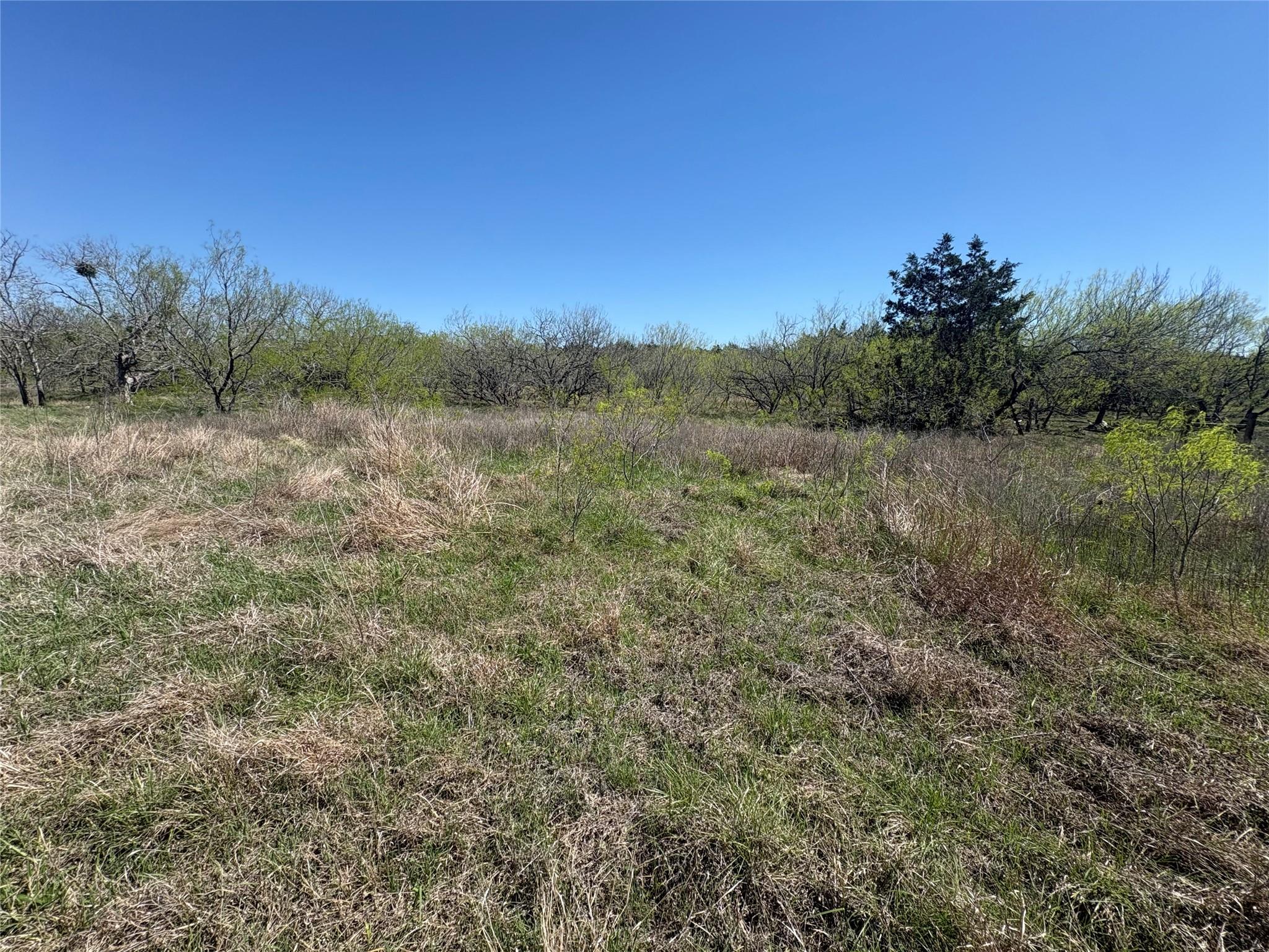 Tbd Patterson Rd Property Photo 18