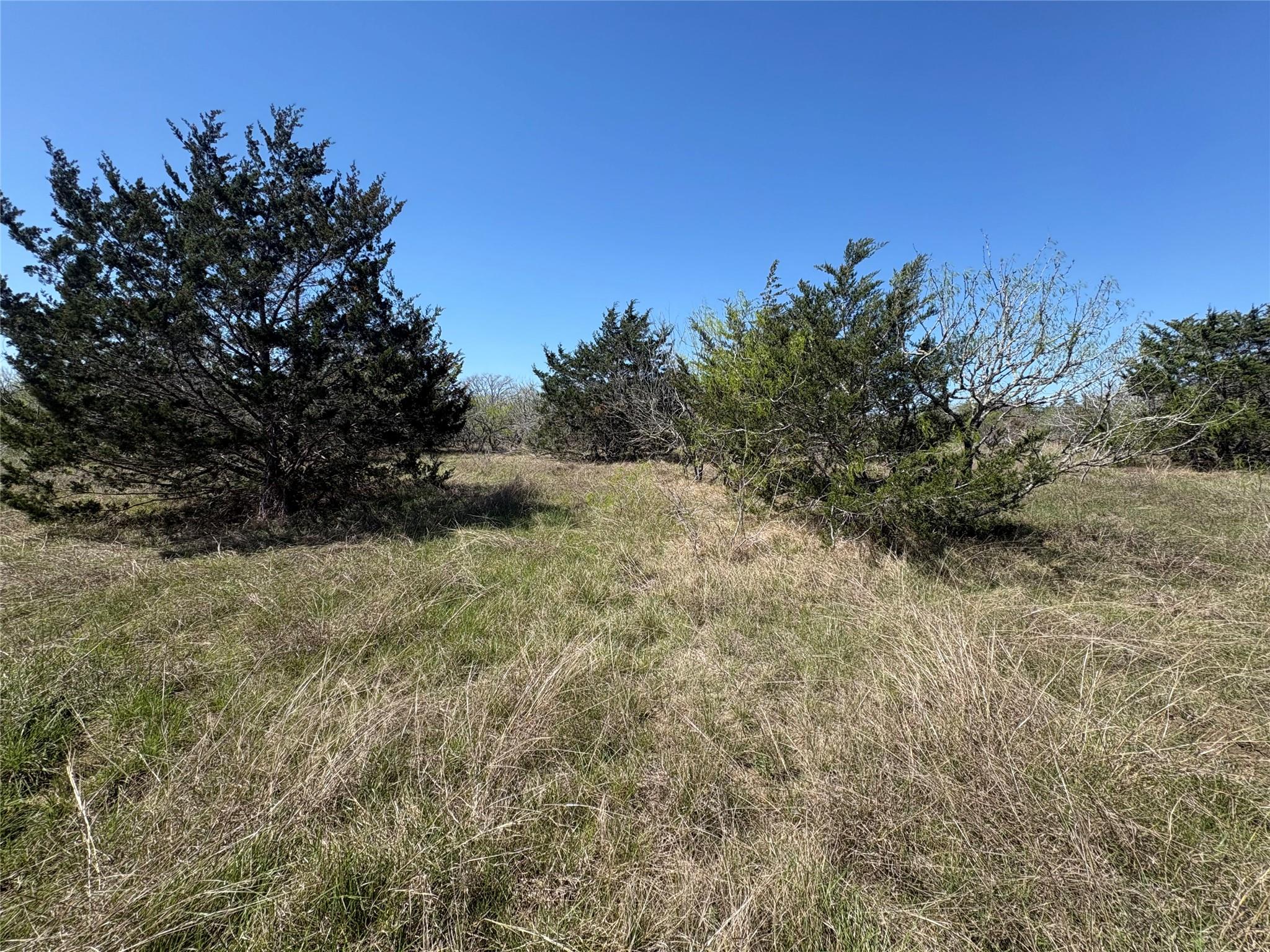 Tbd Patterson Rd Property Photo 19