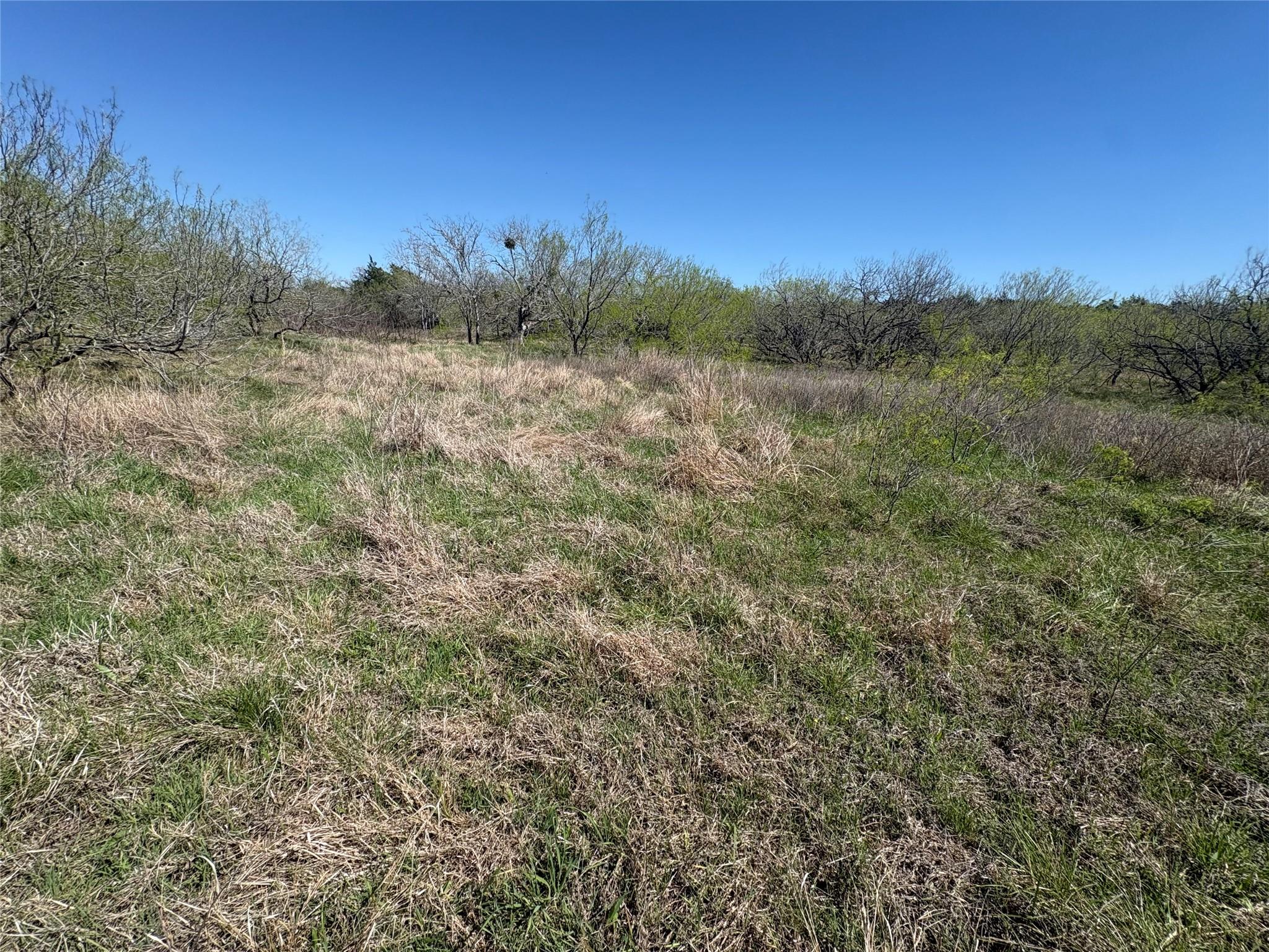 Tbd Patterson Rd Property Photo 23