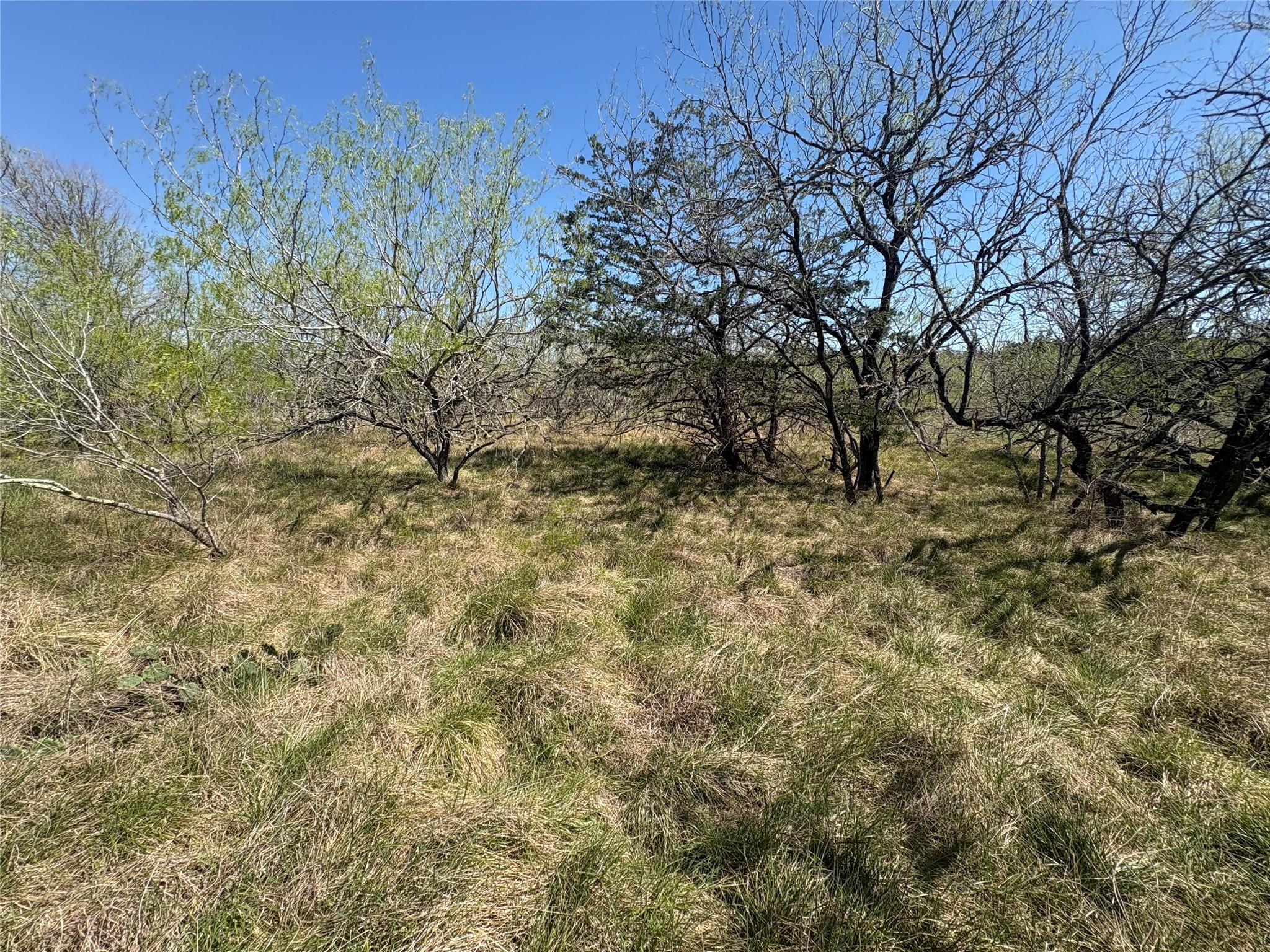 Tbd Patterson Rd Property Photo 24