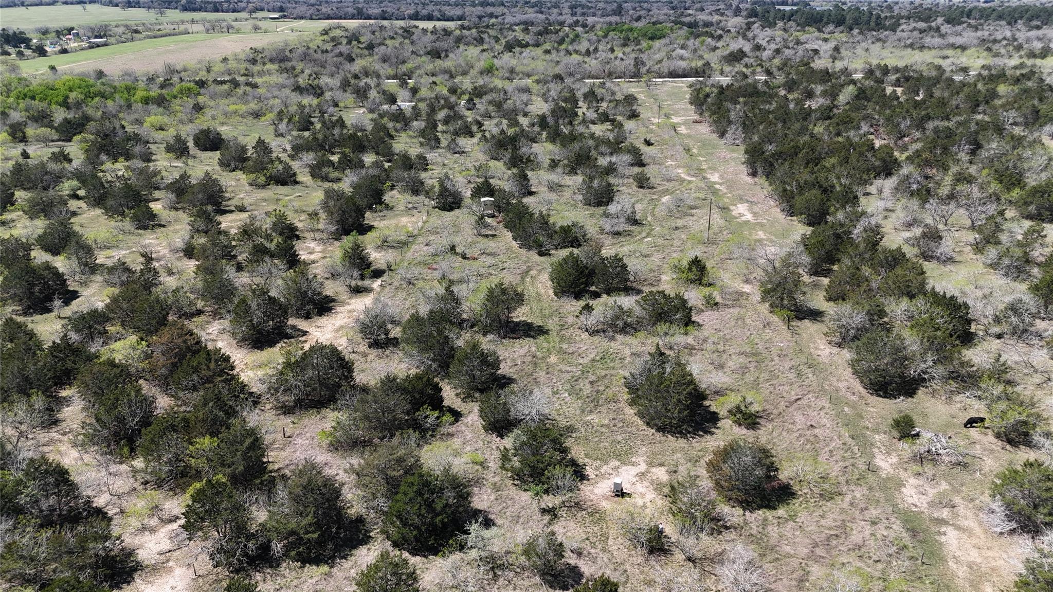Tbd Patterson Rd Property Photo 25