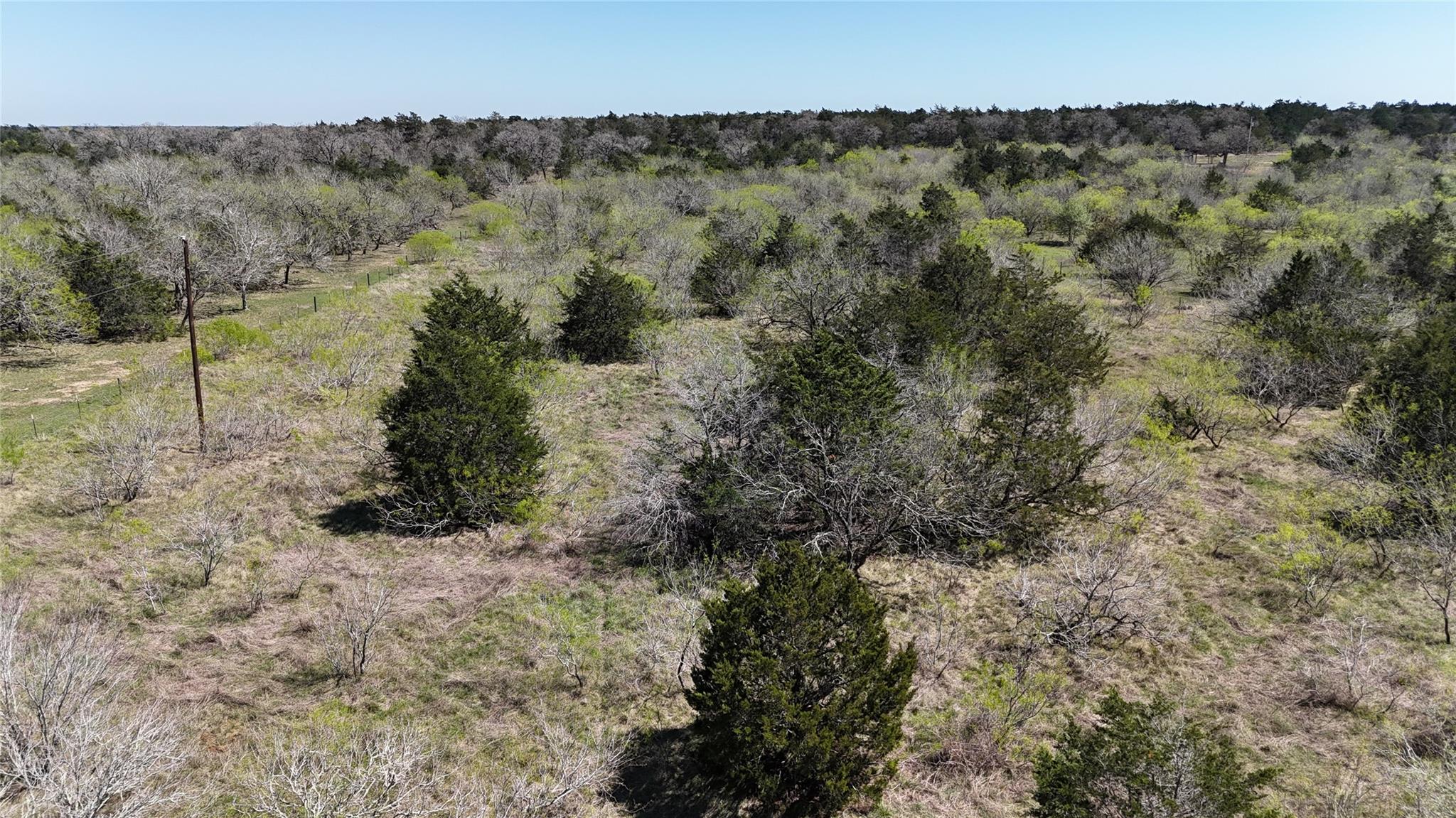 Tbd Patterson Rd Property Photo 31