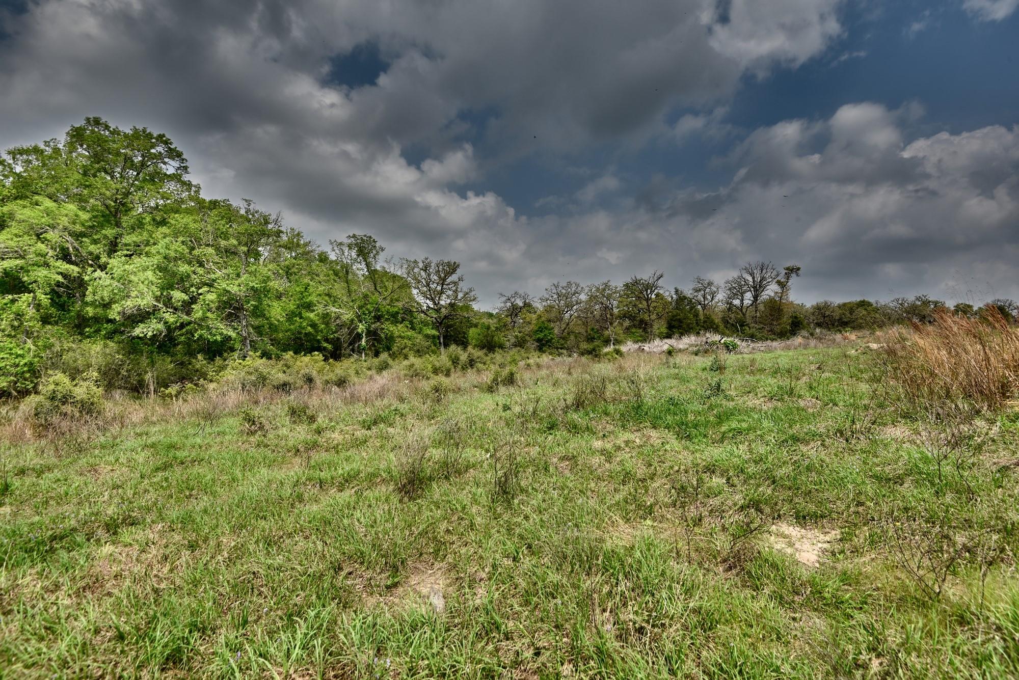 Tbd (26 Acres) County Road 445 Property Photo 22