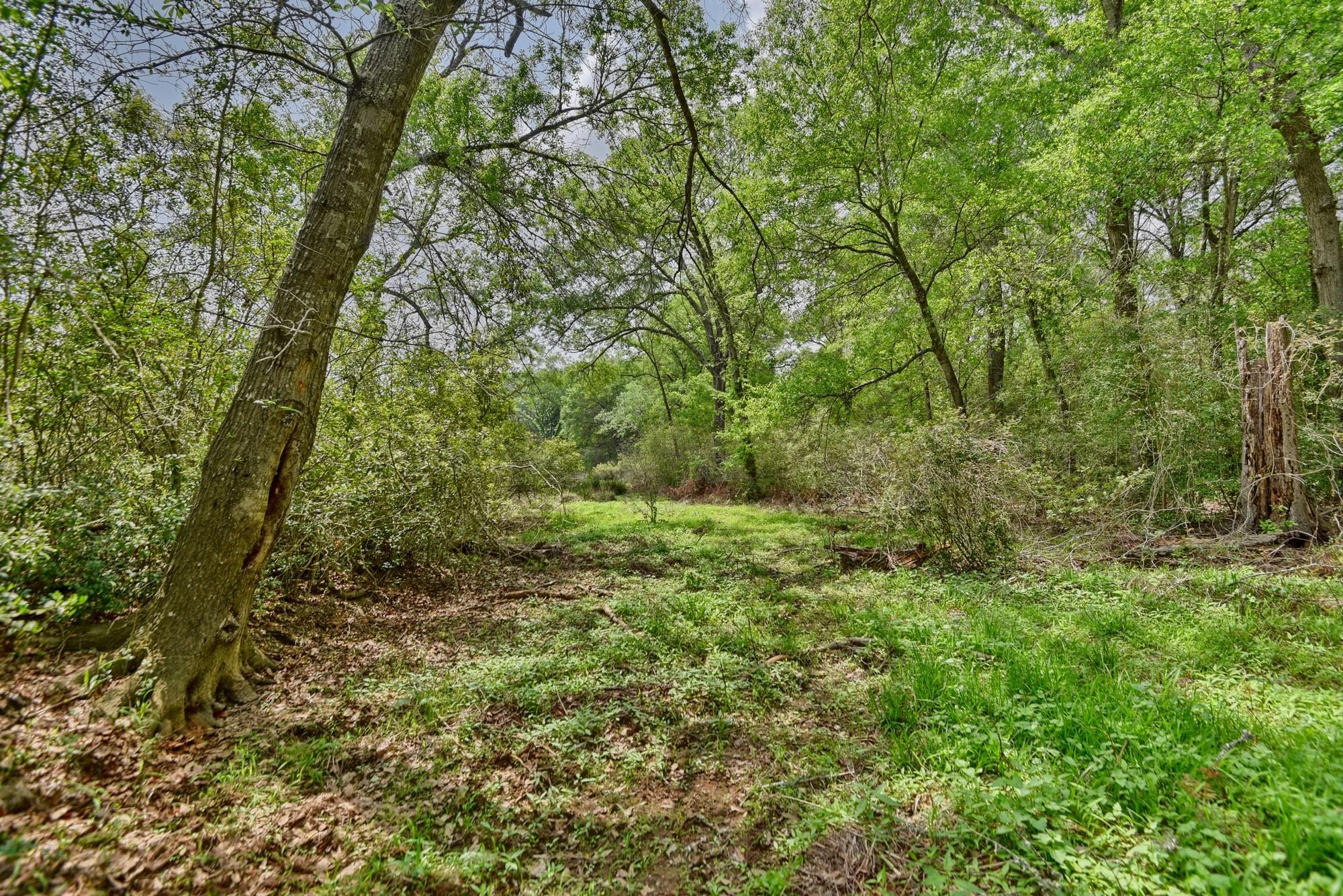 Tbd (26 Acres) County Road 445 Property Photo 25