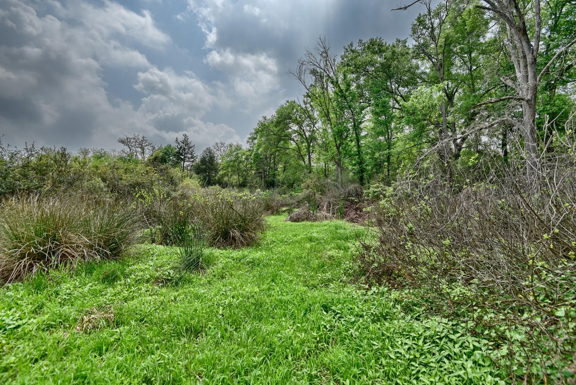 Tbd (26 Acres) County Road 445 Property Photo 28