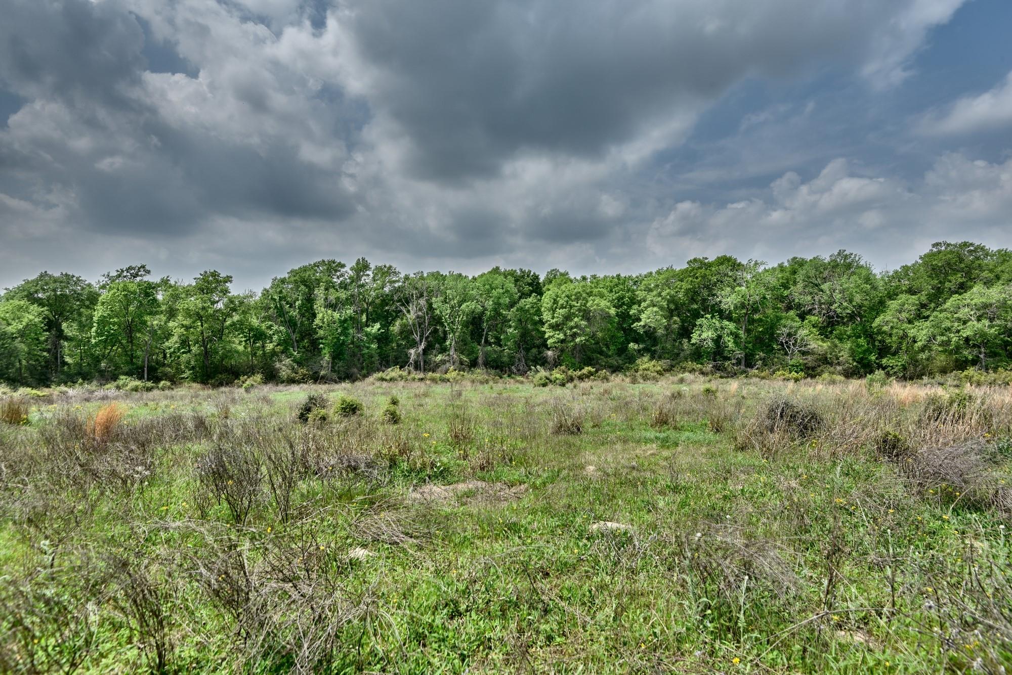 Tbd (26 Acres) County Road 445 Property Photo 32