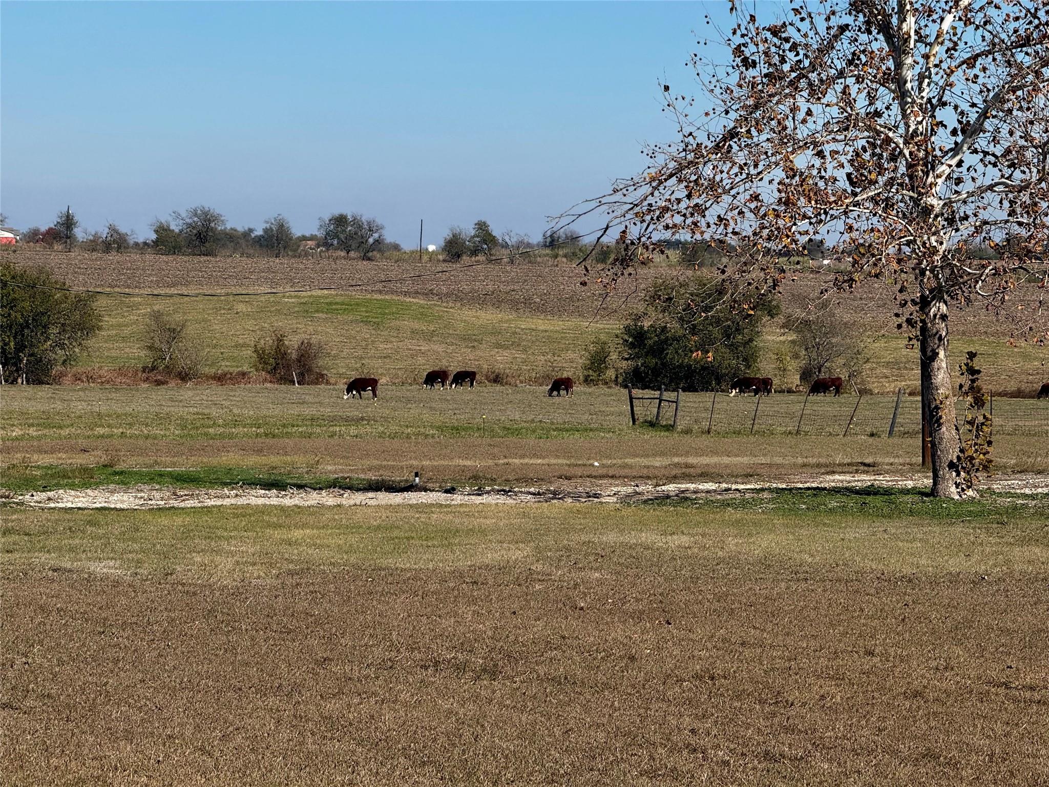 601 County Road 497 None Property Photo 6
