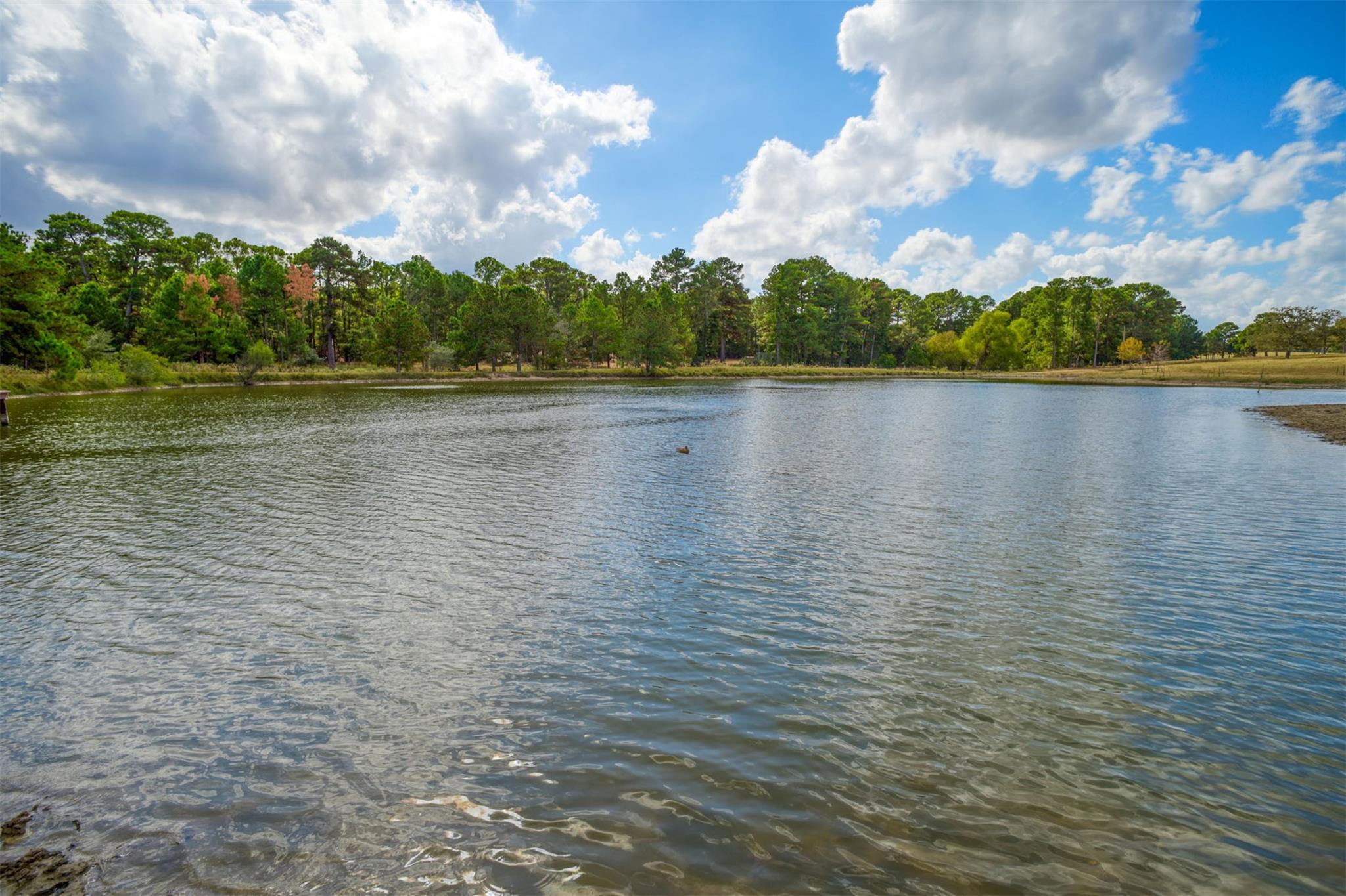 1111 Nink Rd Property Photo 2