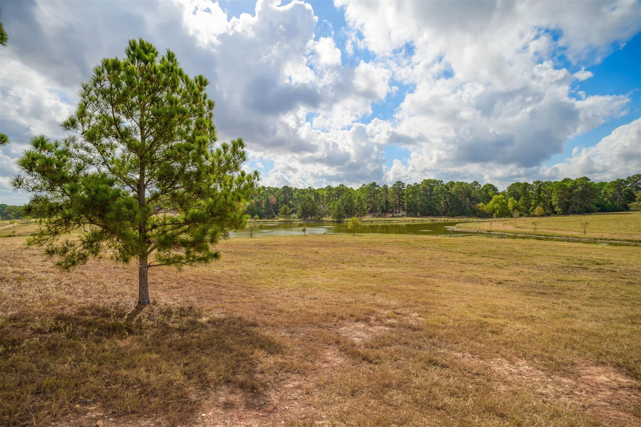1111 Nink Rd Property Photo 38