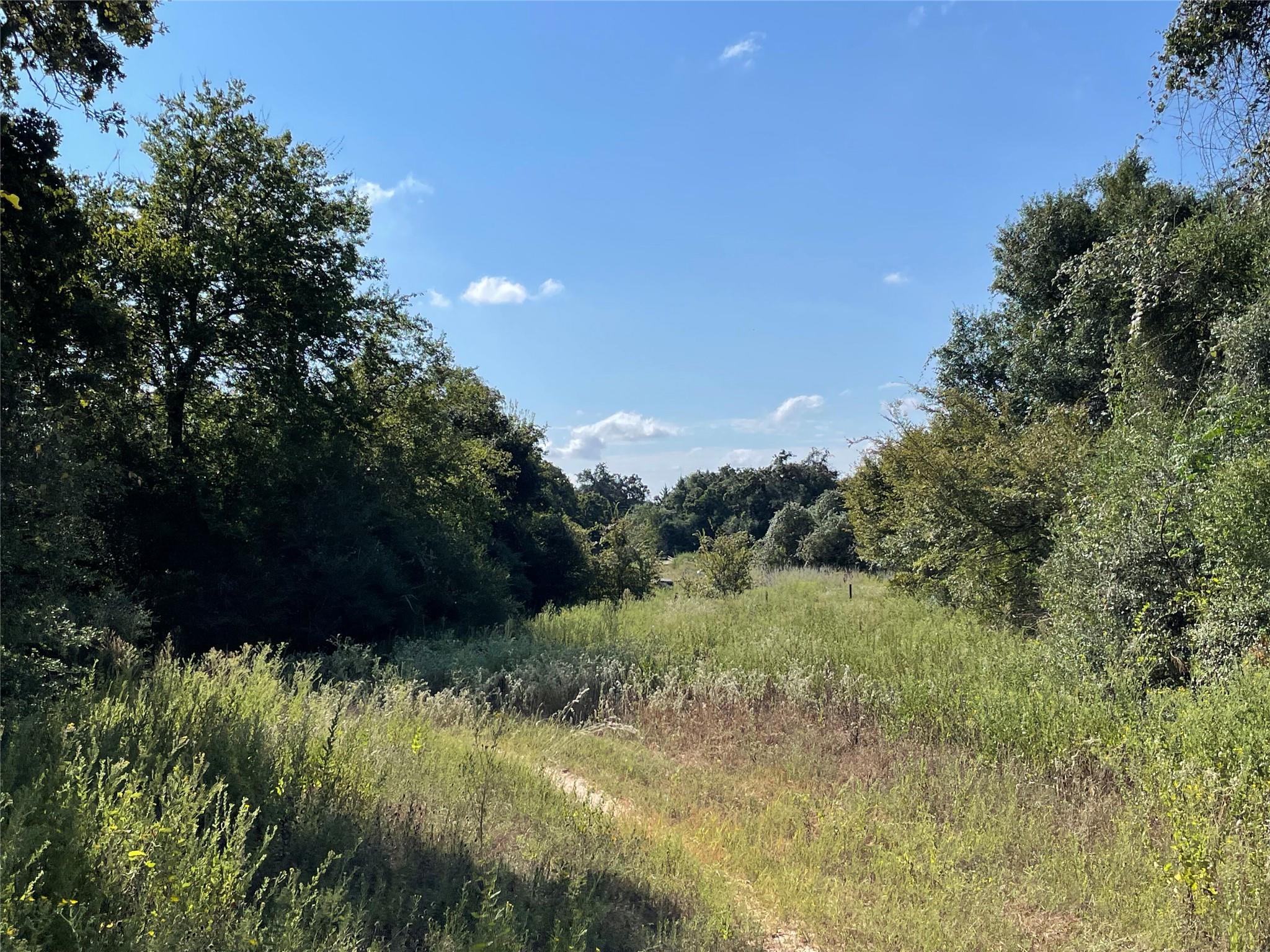 1813 Lone Star Ln Property Photo 2