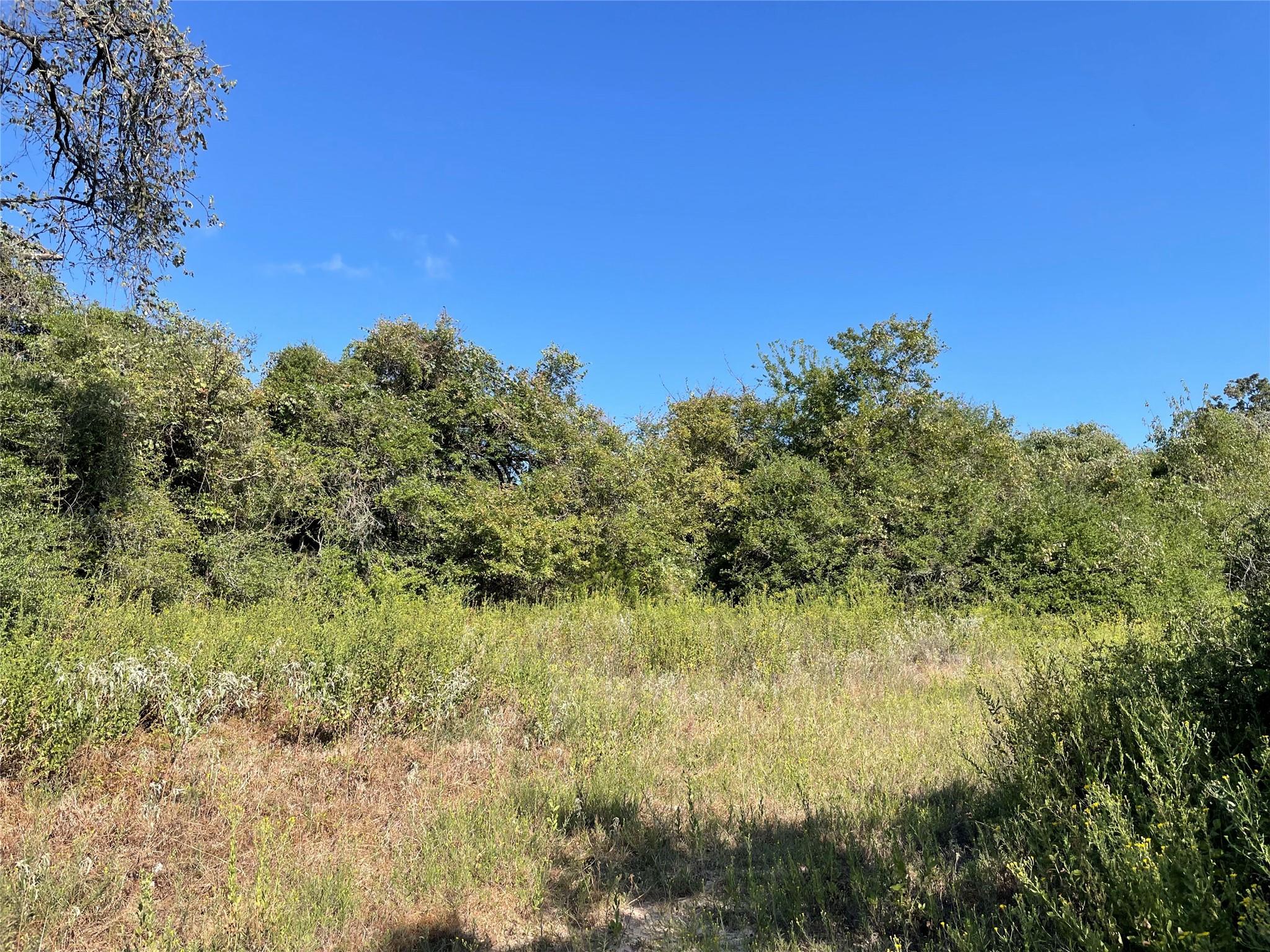 1813 Lone Star Ln Property Photo 3
