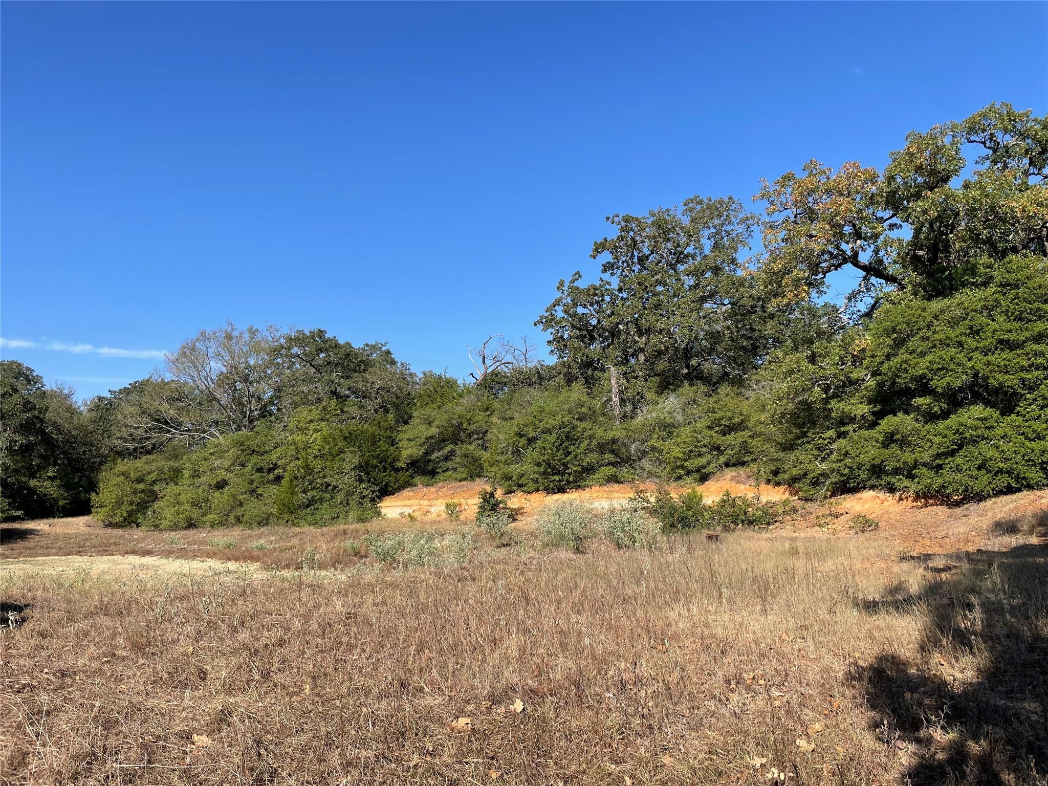 1813 Lone Star Ln Property Photo 4