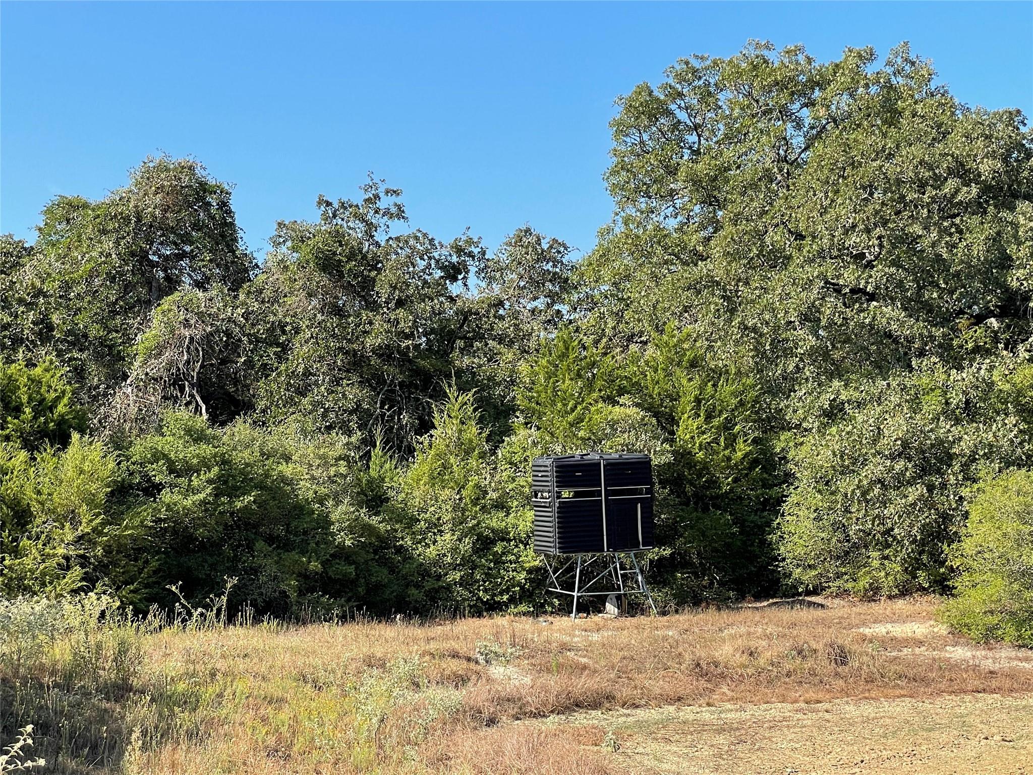 1813 Lone Star Ln Property Photo 7