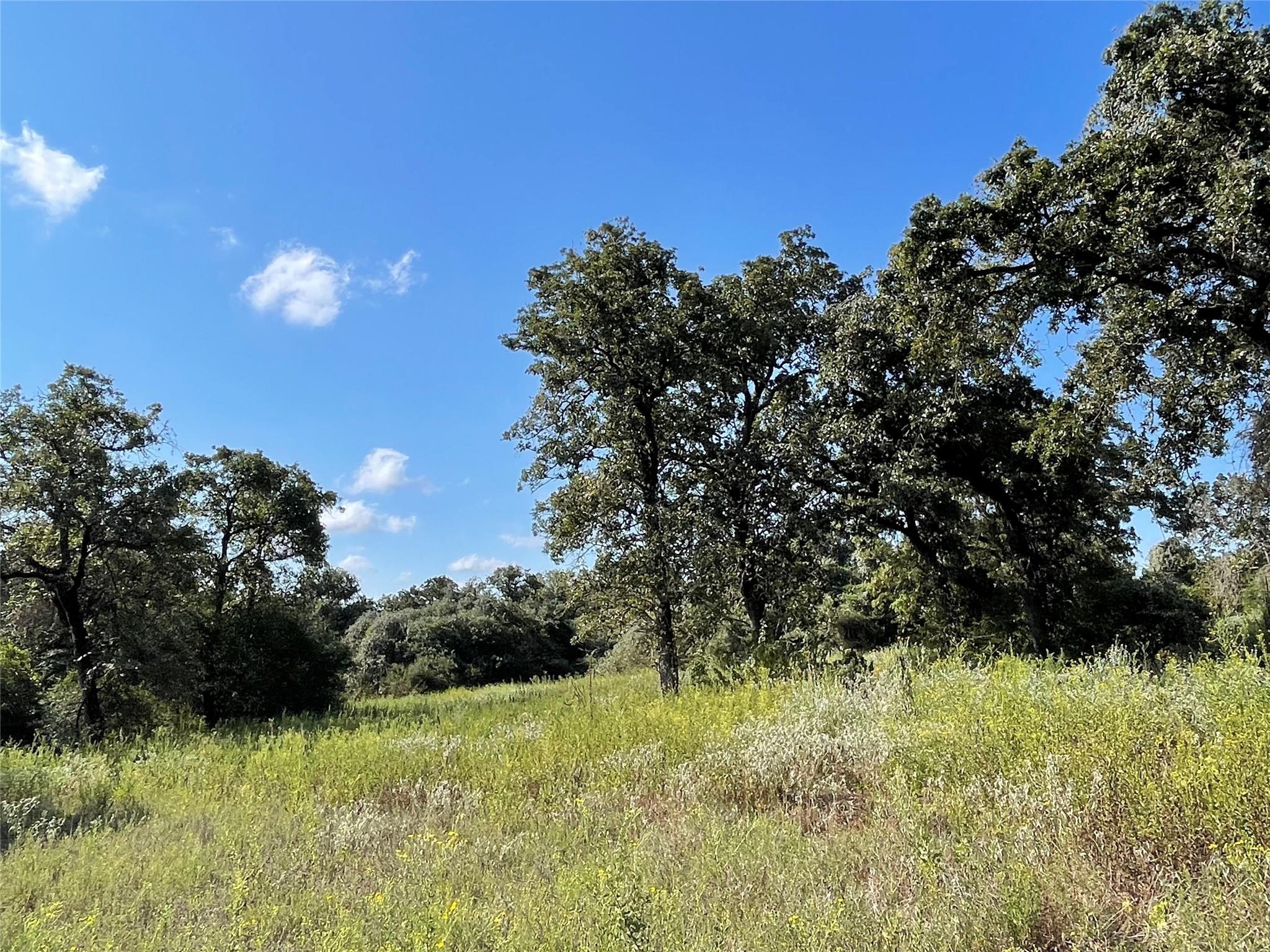 1813 Lone Star Ln Property Photo 8