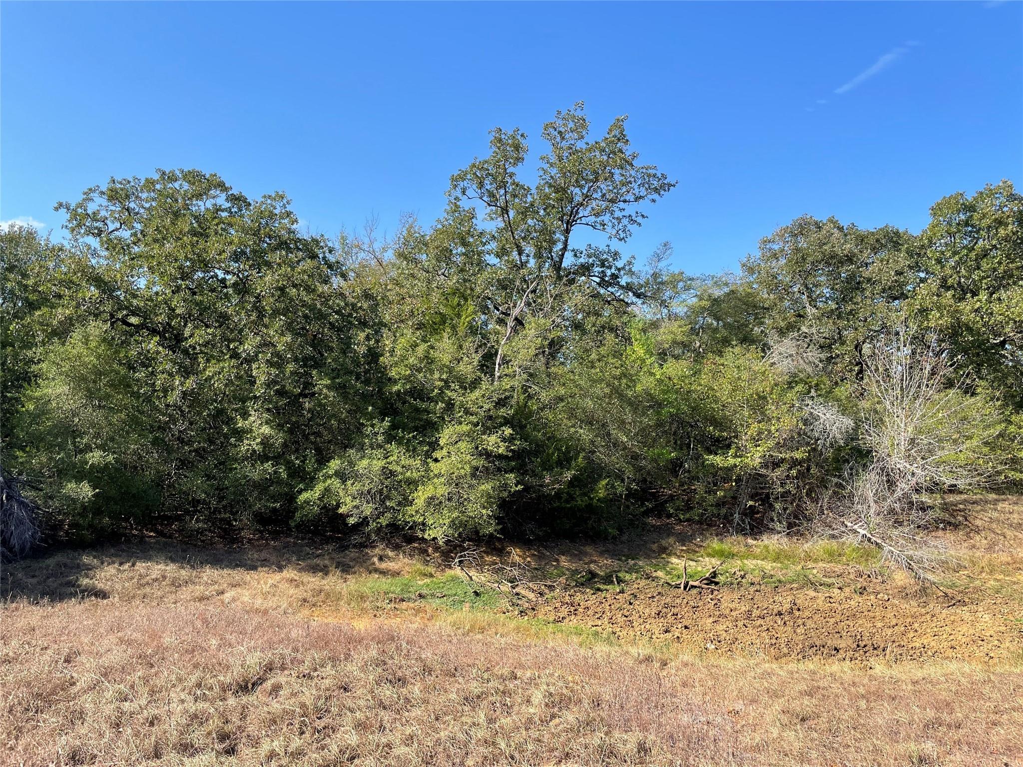 1813 Lone Star Ln Property Photo 11