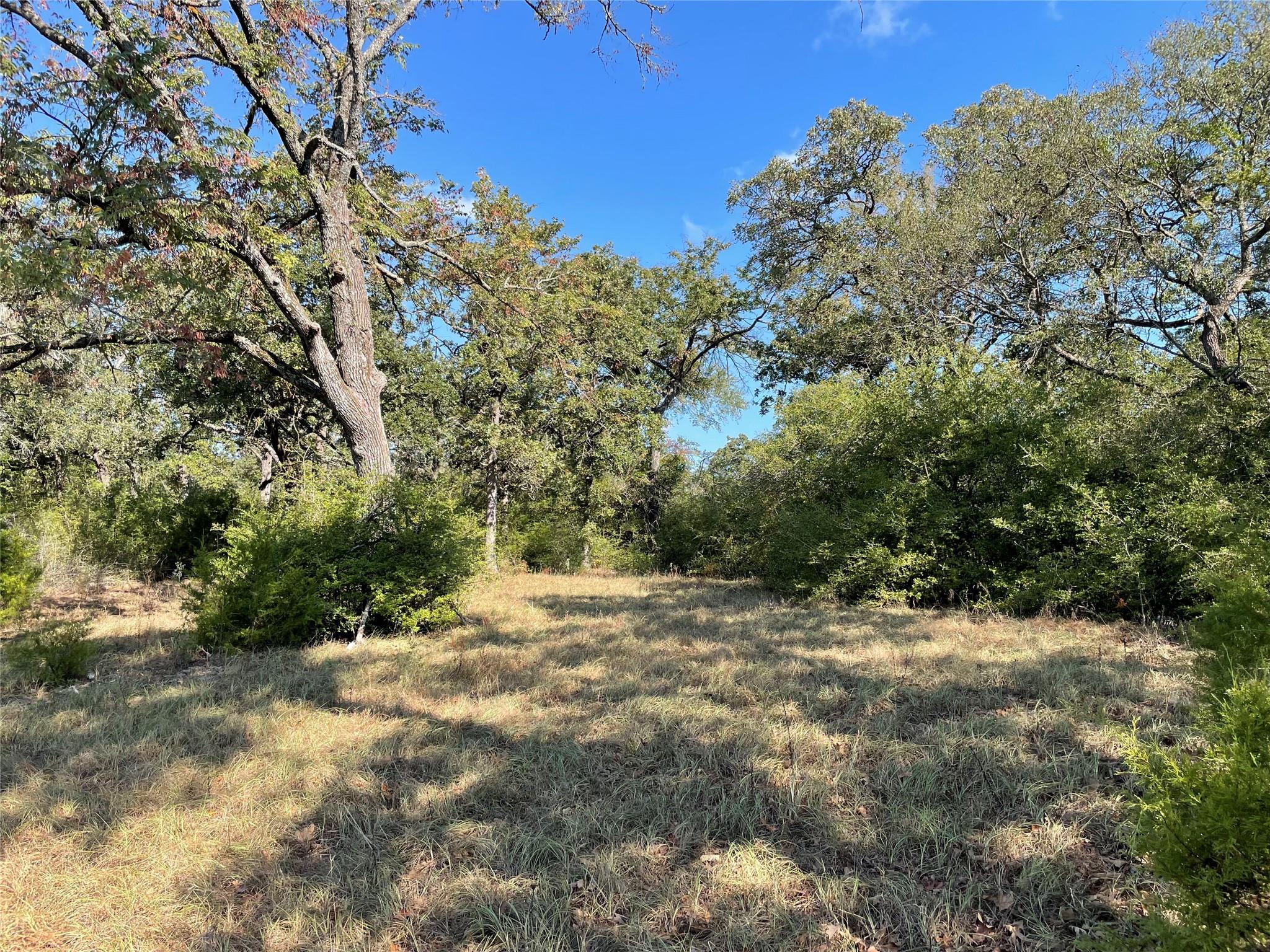 1813 Lone Star Ln Property Photo 12