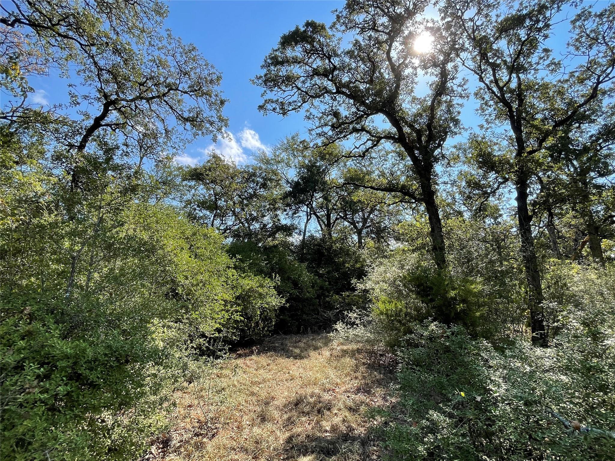 1813 Lone Star Ln Property Photo 13