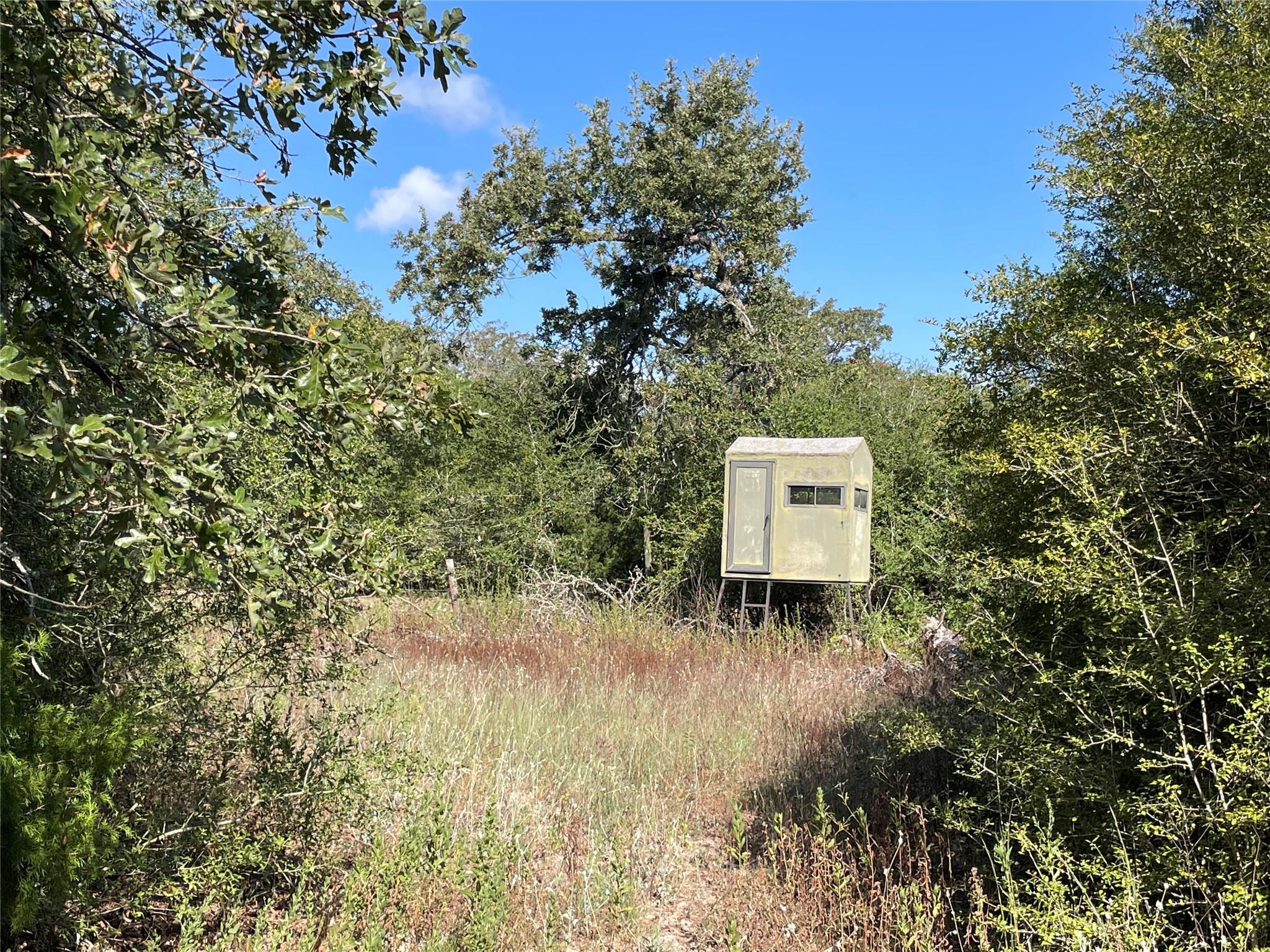1813 Lone Star Ln Property Photo 15