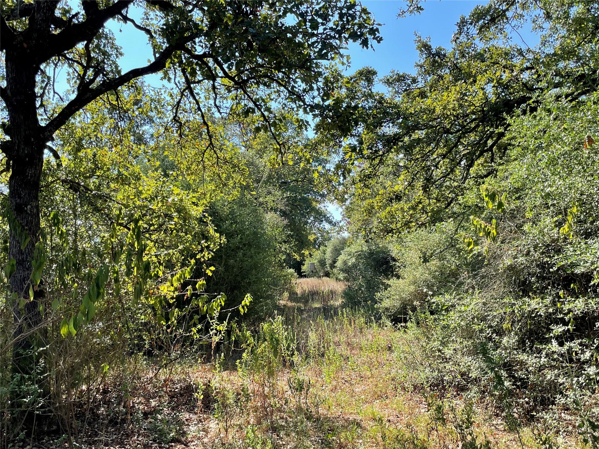 1813 Lone Star Ln Property Photo 16