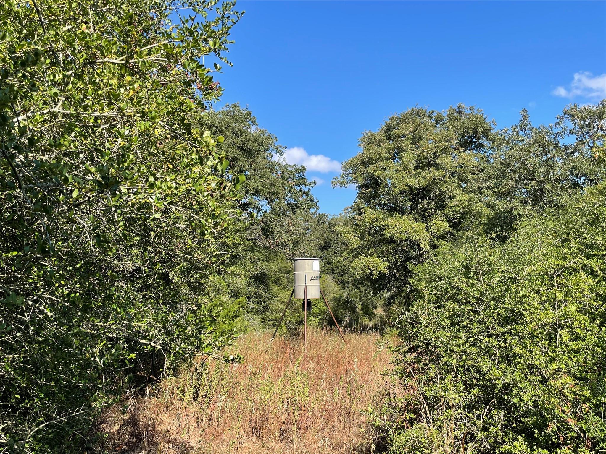 1813 Lone Star Ln Property Photo 17