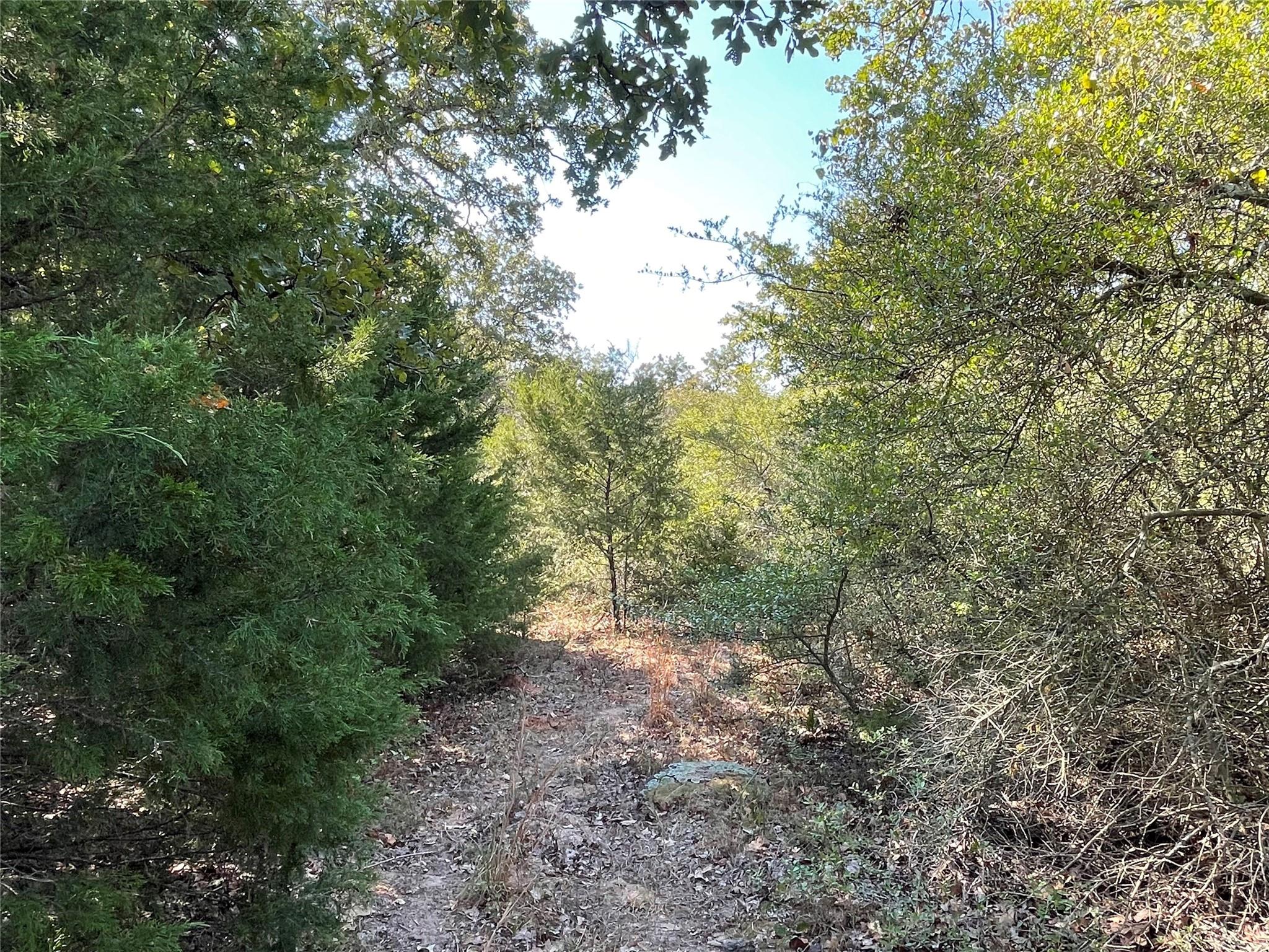 1813 Lone Star Ln Property Photo 18