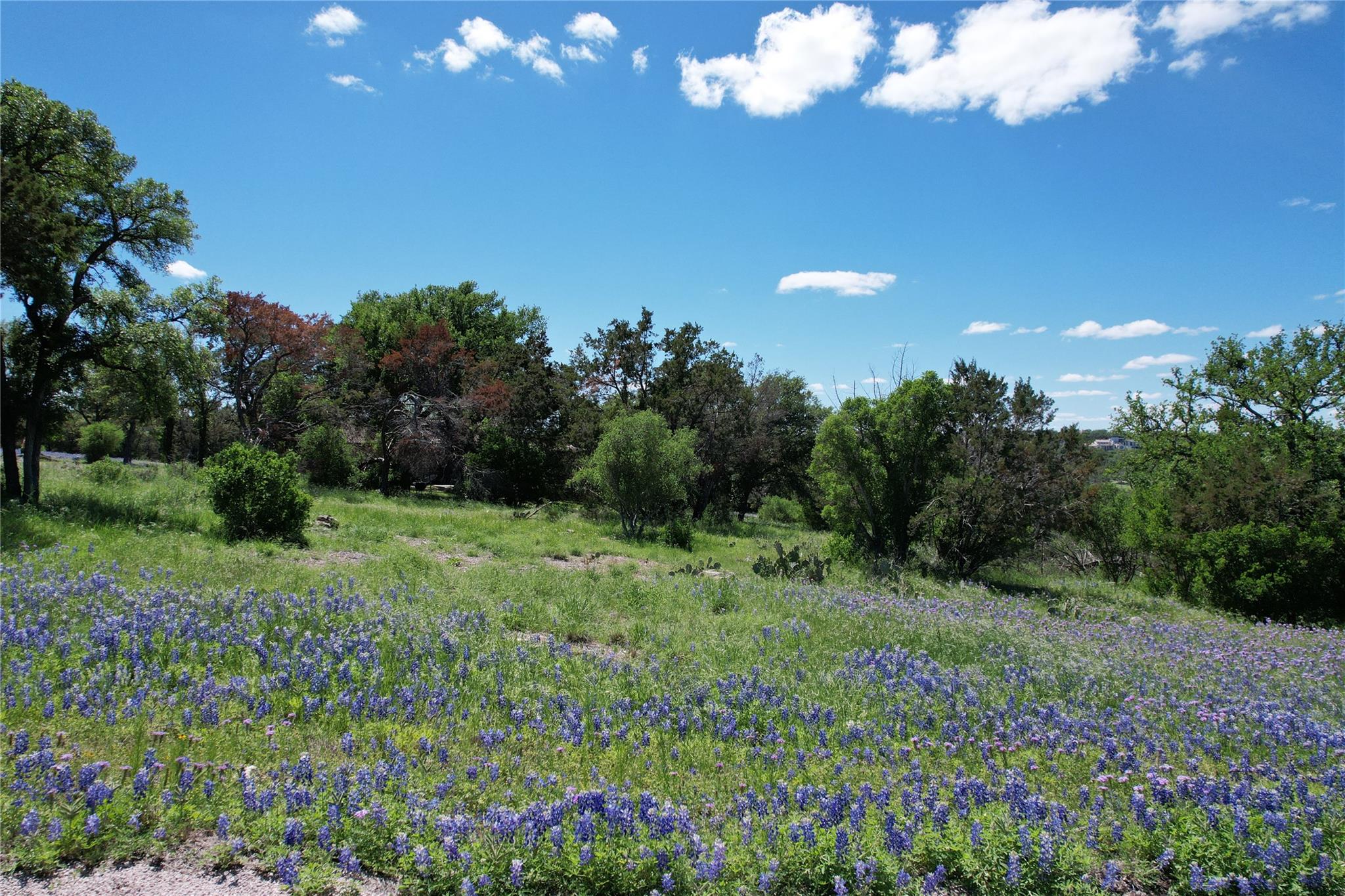 2006 Brazos None Property Photo 1