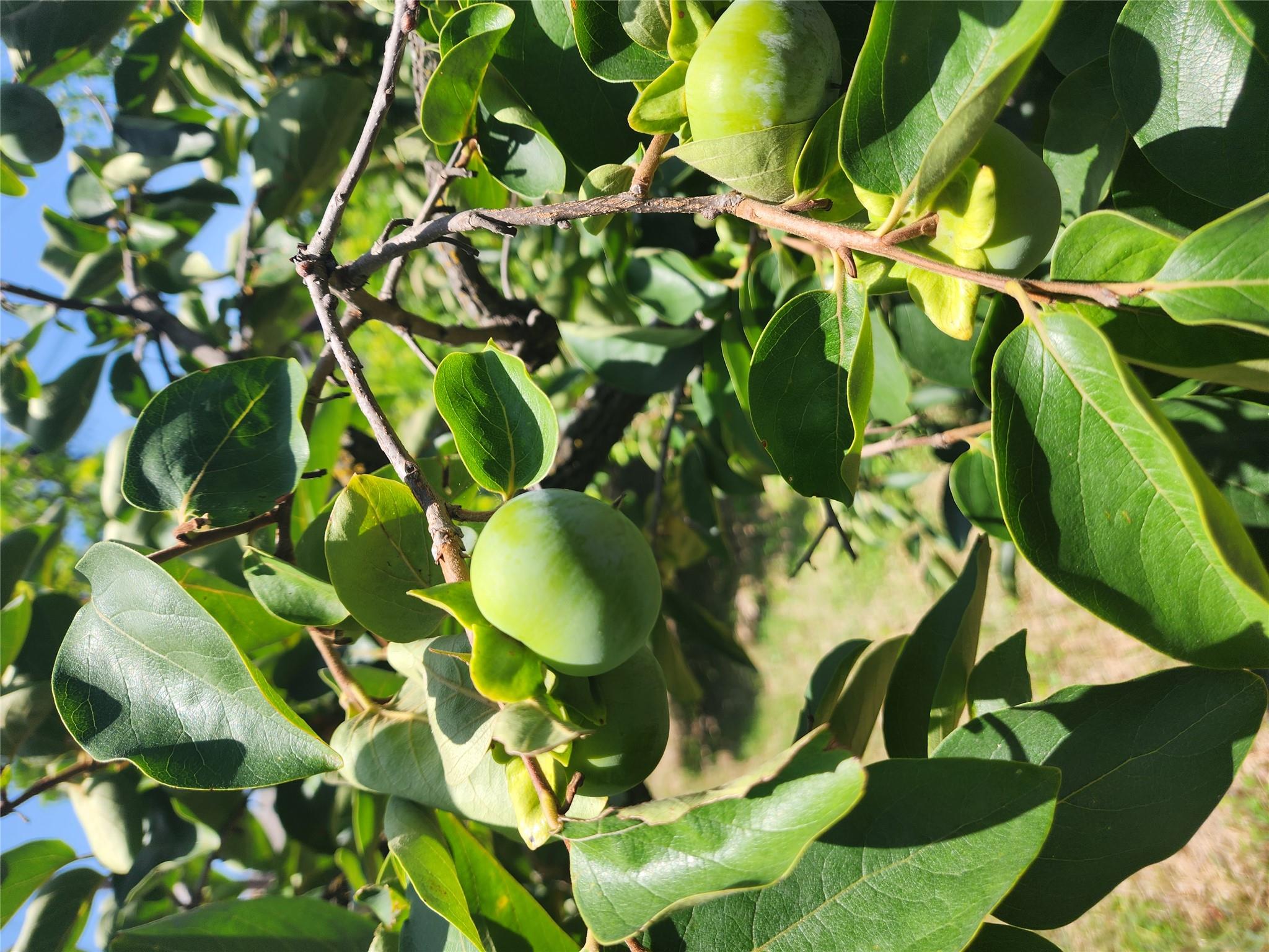 1712 Southwestern Dr Property Photo 26