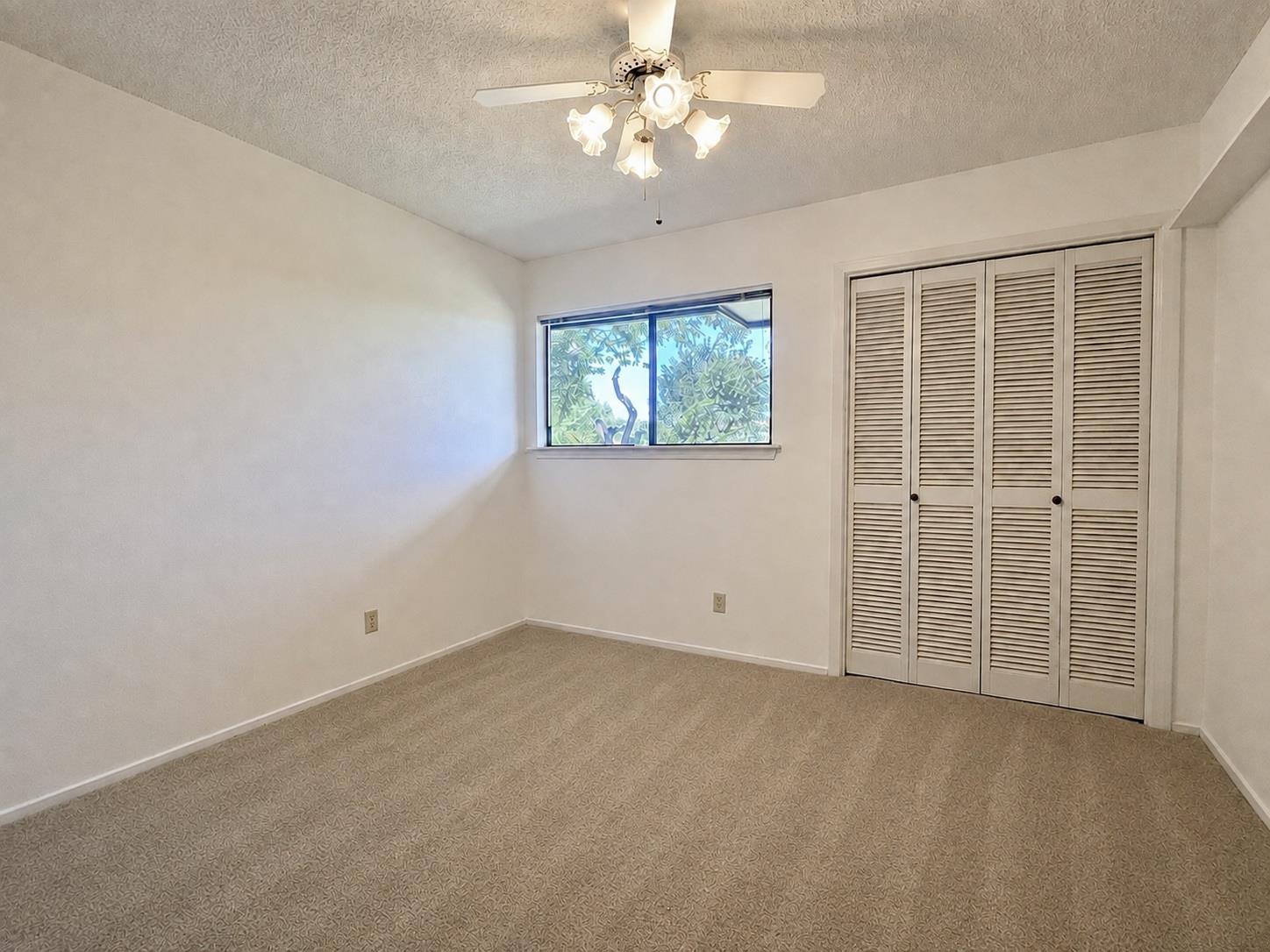 10512 Timbercrest Ln Property Photo 11