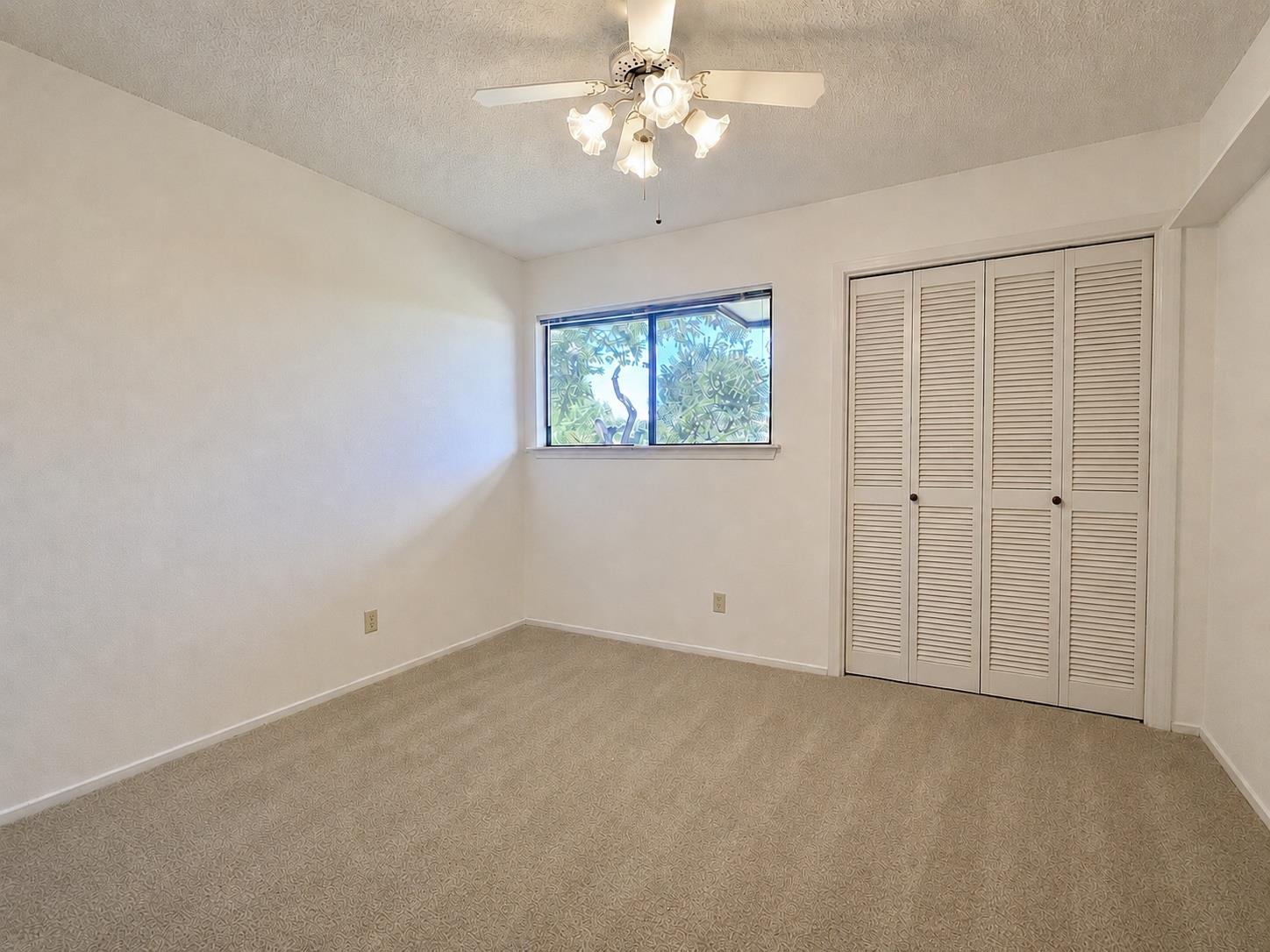 10512 Timbercrest Ln Property Photo 11