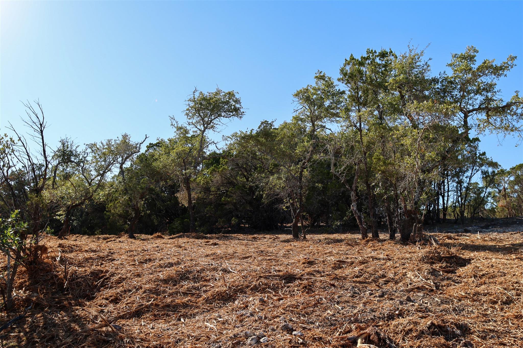 3101 - 4 Longhorn Trl Trl Property Photo 3
