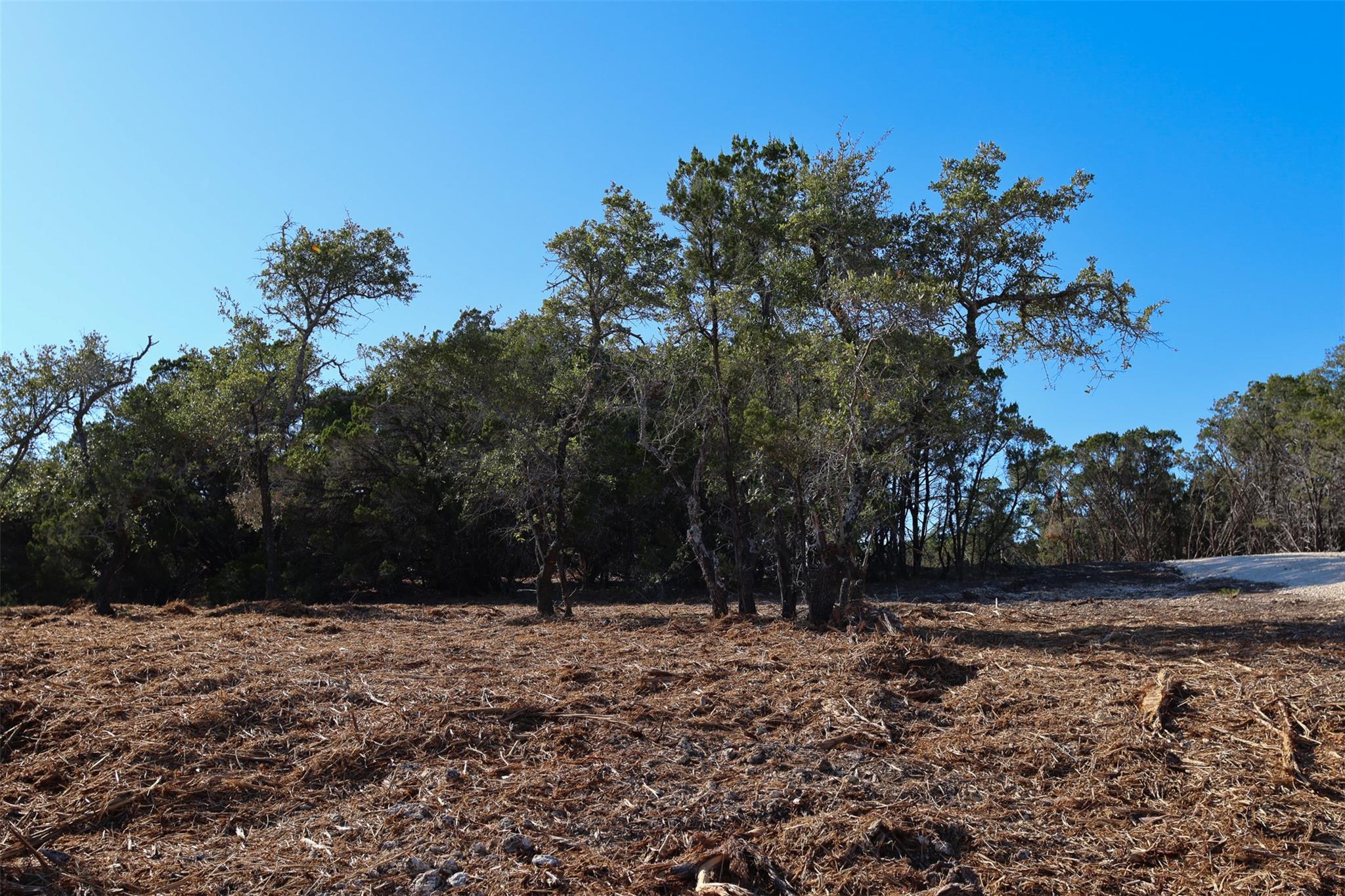 3101 - 4 Longhorn Trl Trl Property Photo 4
