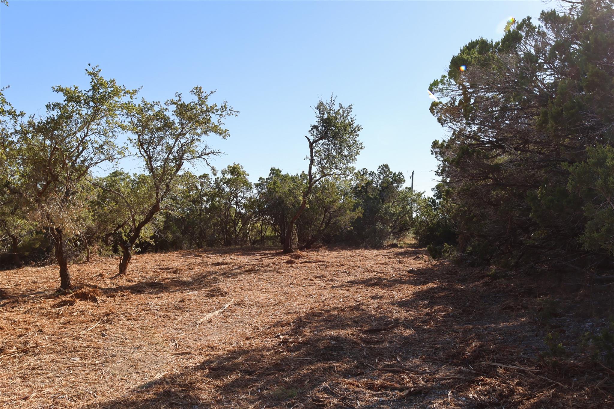 3101 - 4 Longhorn Trl Trl Property Photo 5