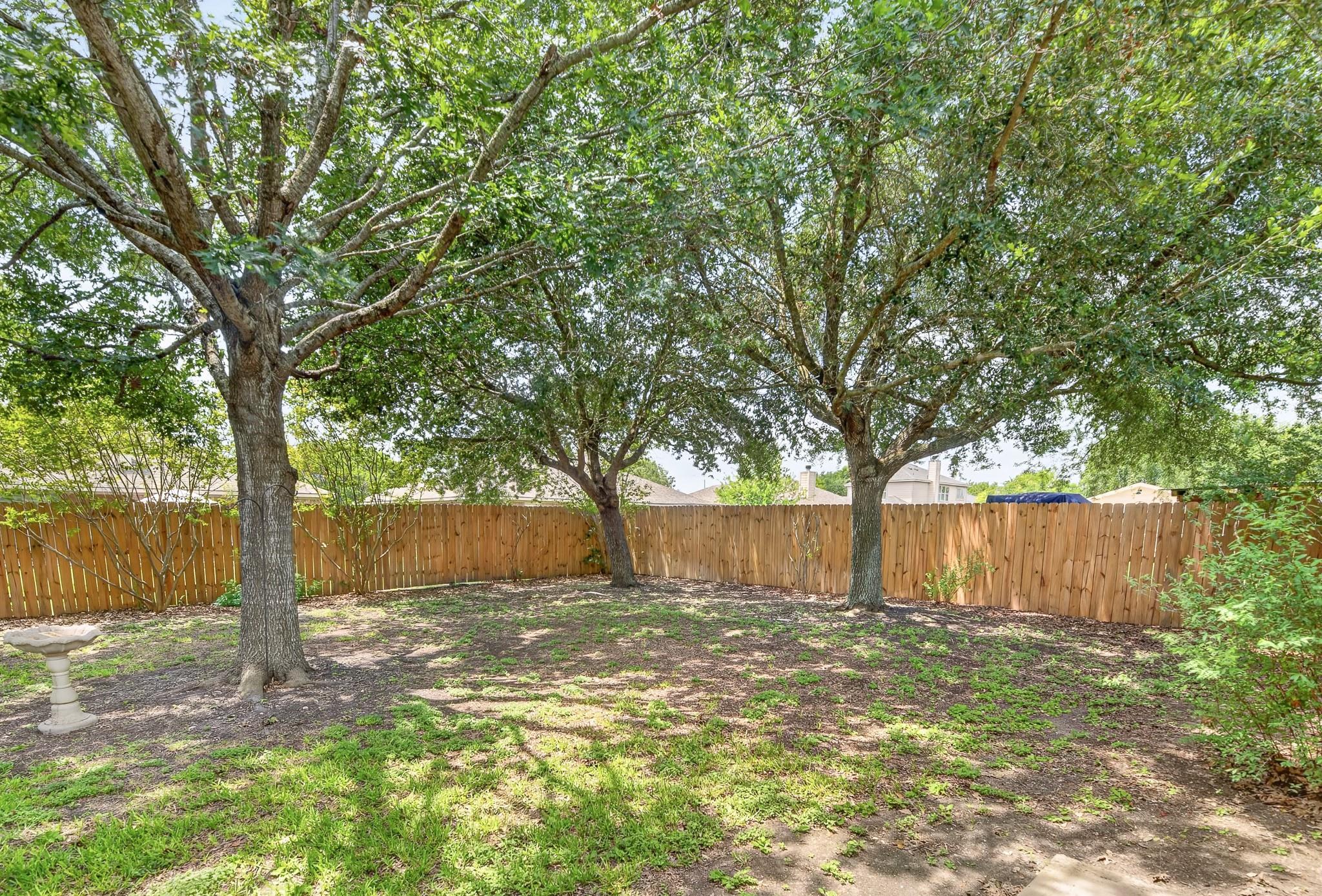 1604 Prickly Pear St Property Photo 29