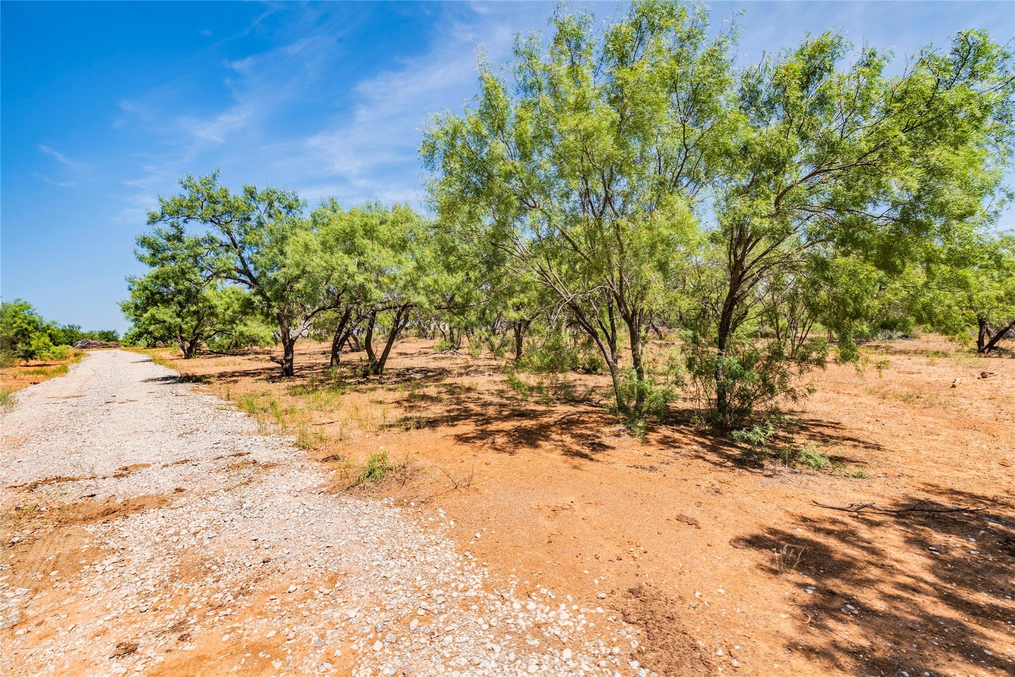 1099 County Road 247 Property Photo 3