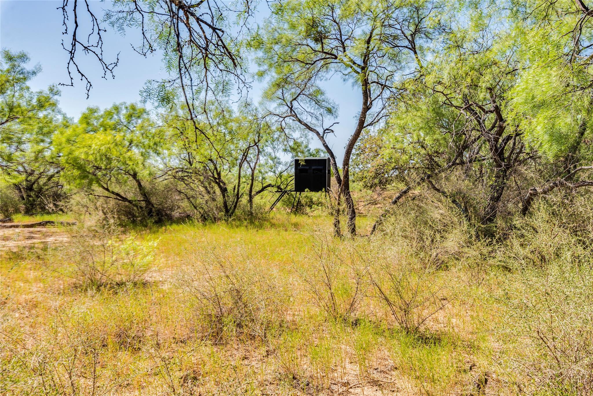 1099 County Road 247 Property Photo 17