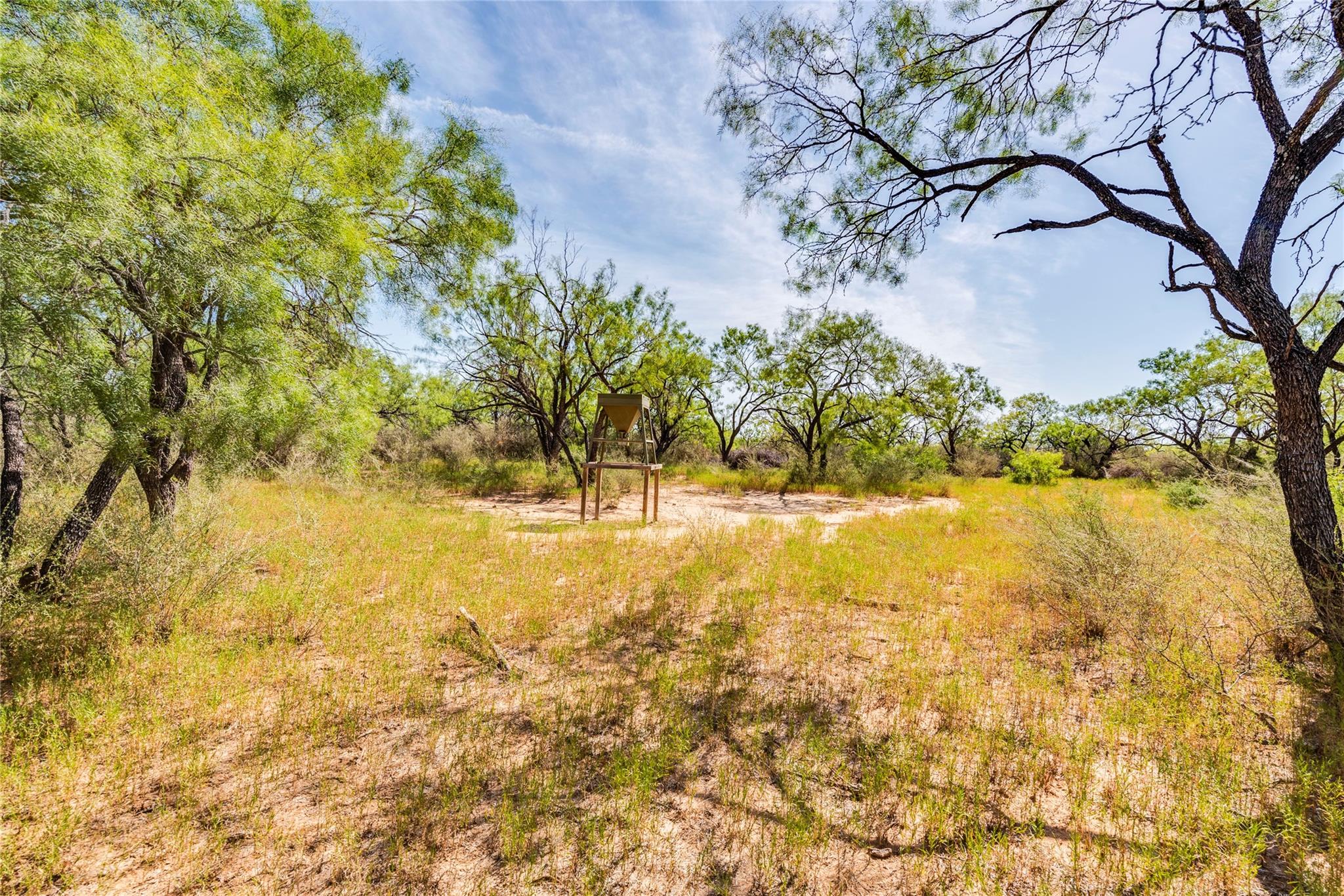 1099 County Road 247 Property Photo 18