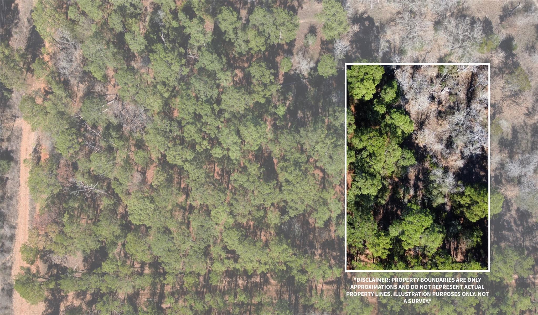 0 Pine Lodge Drive Lot 26 None Property Photo 1
