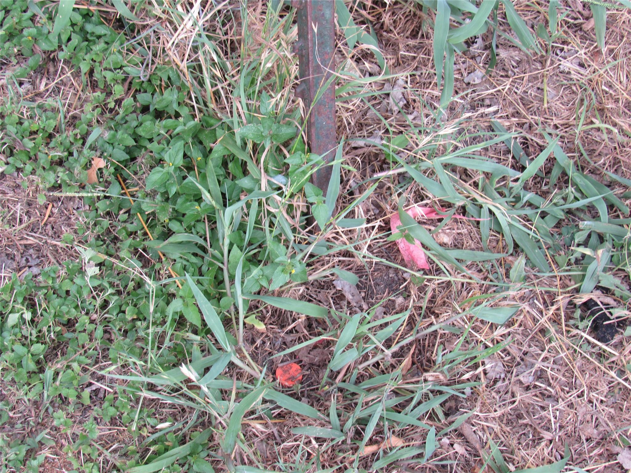 210 E E Carrie Manor Rd Property Photo 14