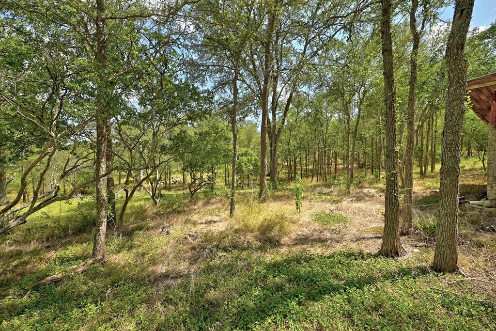 7709 Timber Hills Dr Property Photo 24