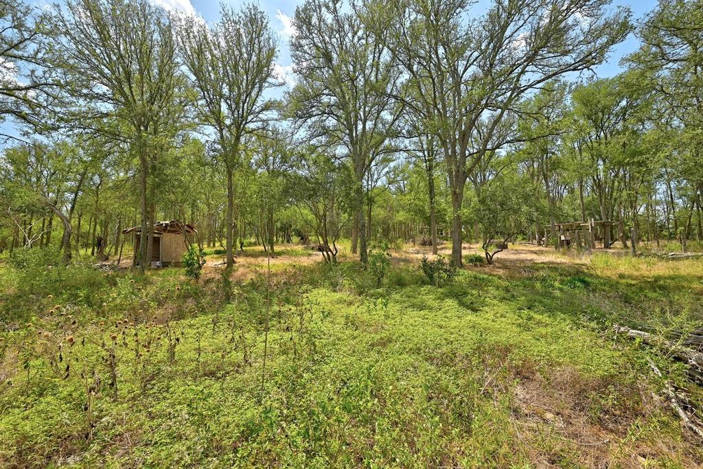 7709 Timber Hills Dr Property Photo 25