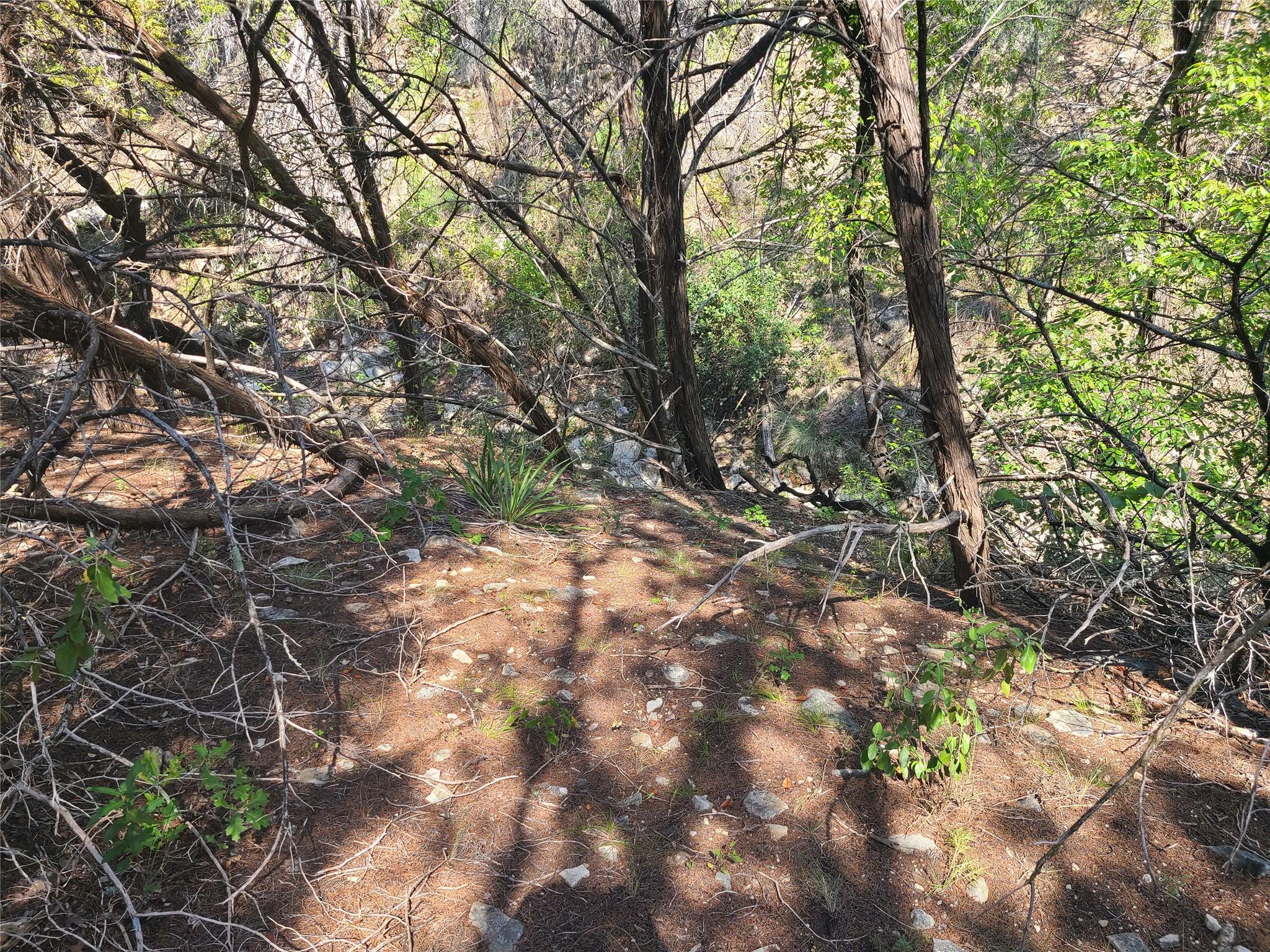 8027 Foothill Cv Property Photo 6