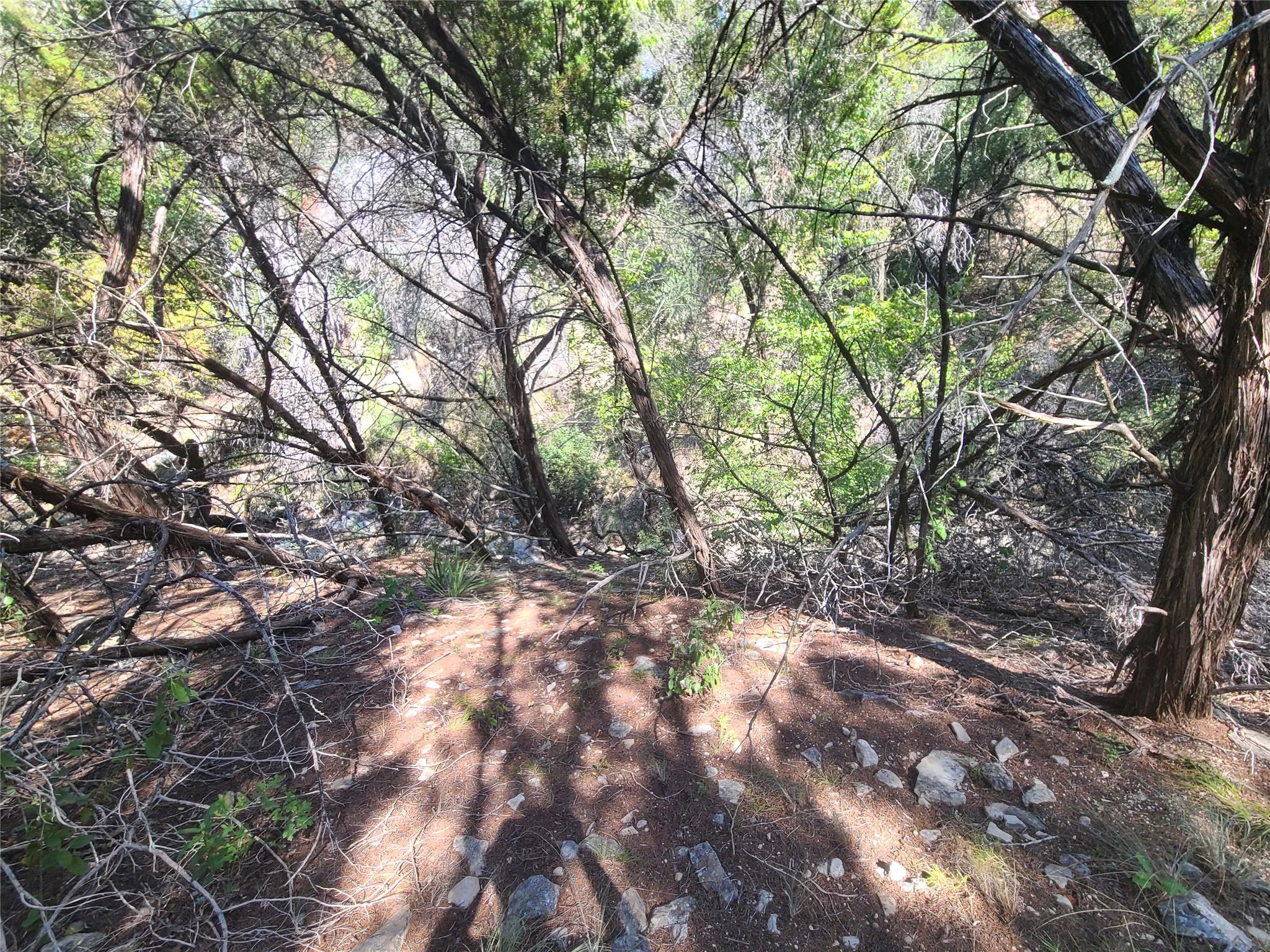 8027 Foothill Cv Property Photo 7