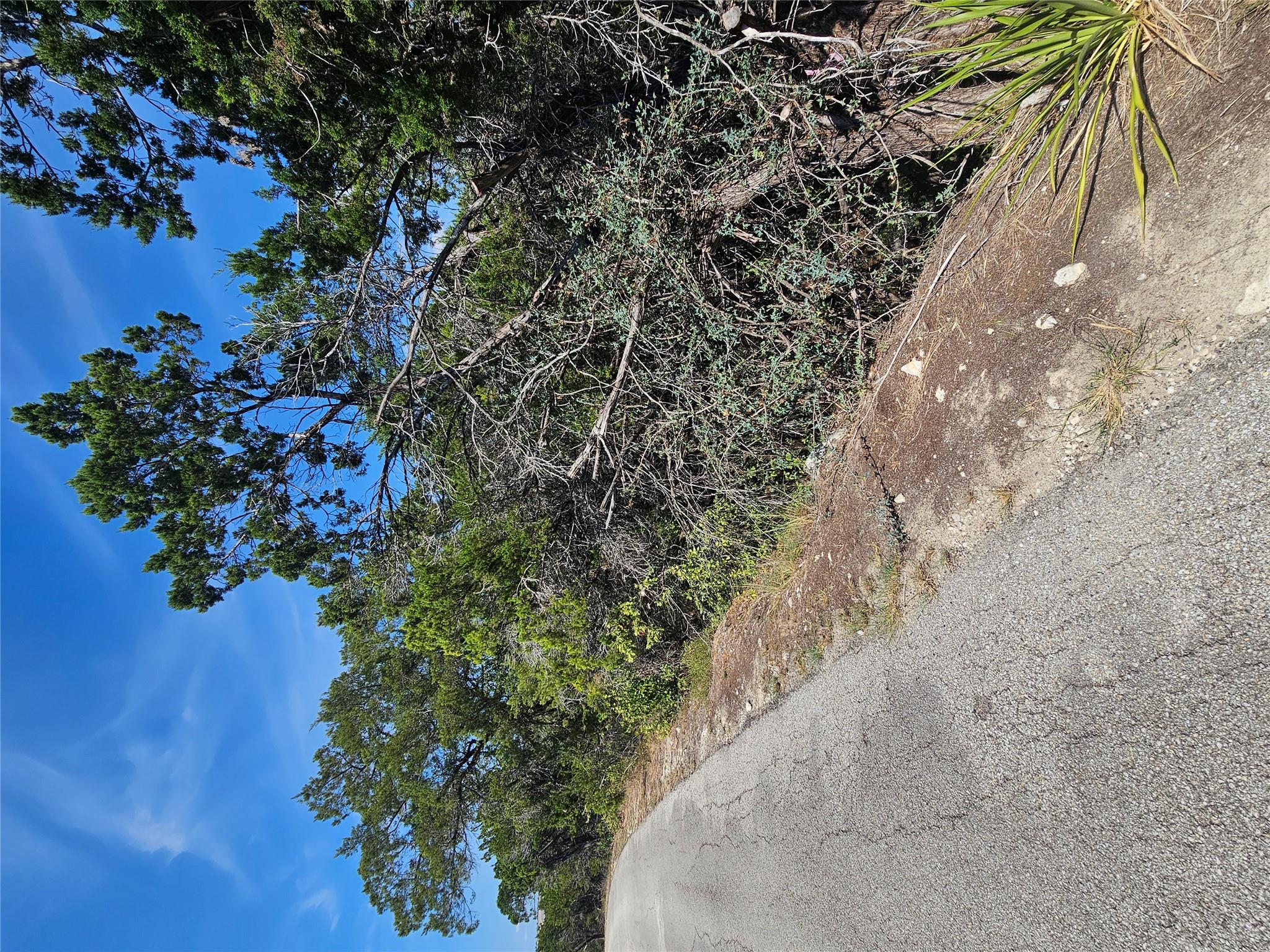 8027 Foothill Cv Property Photo 15