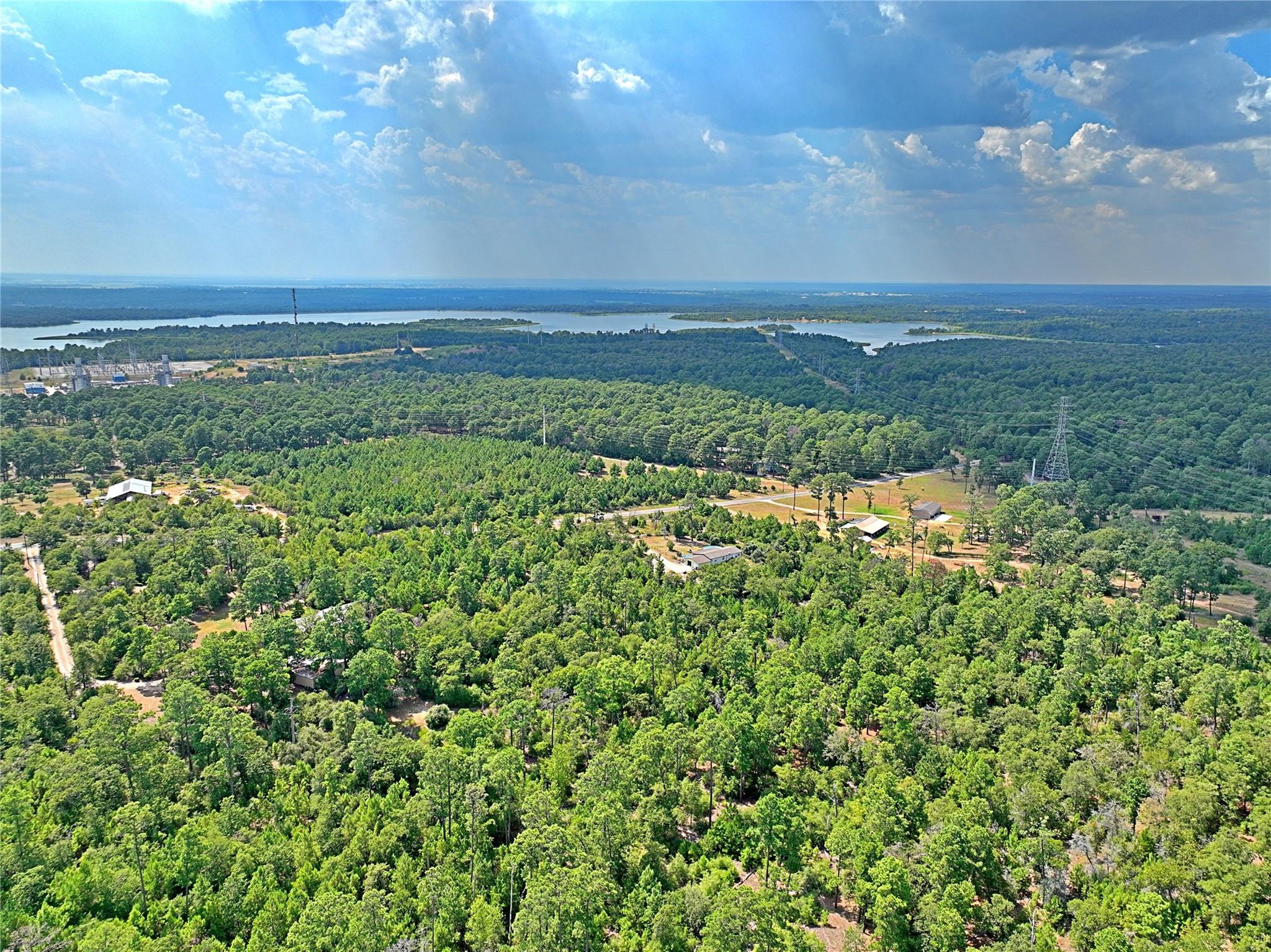Tbd Pine Tree Loop Property Photo 3